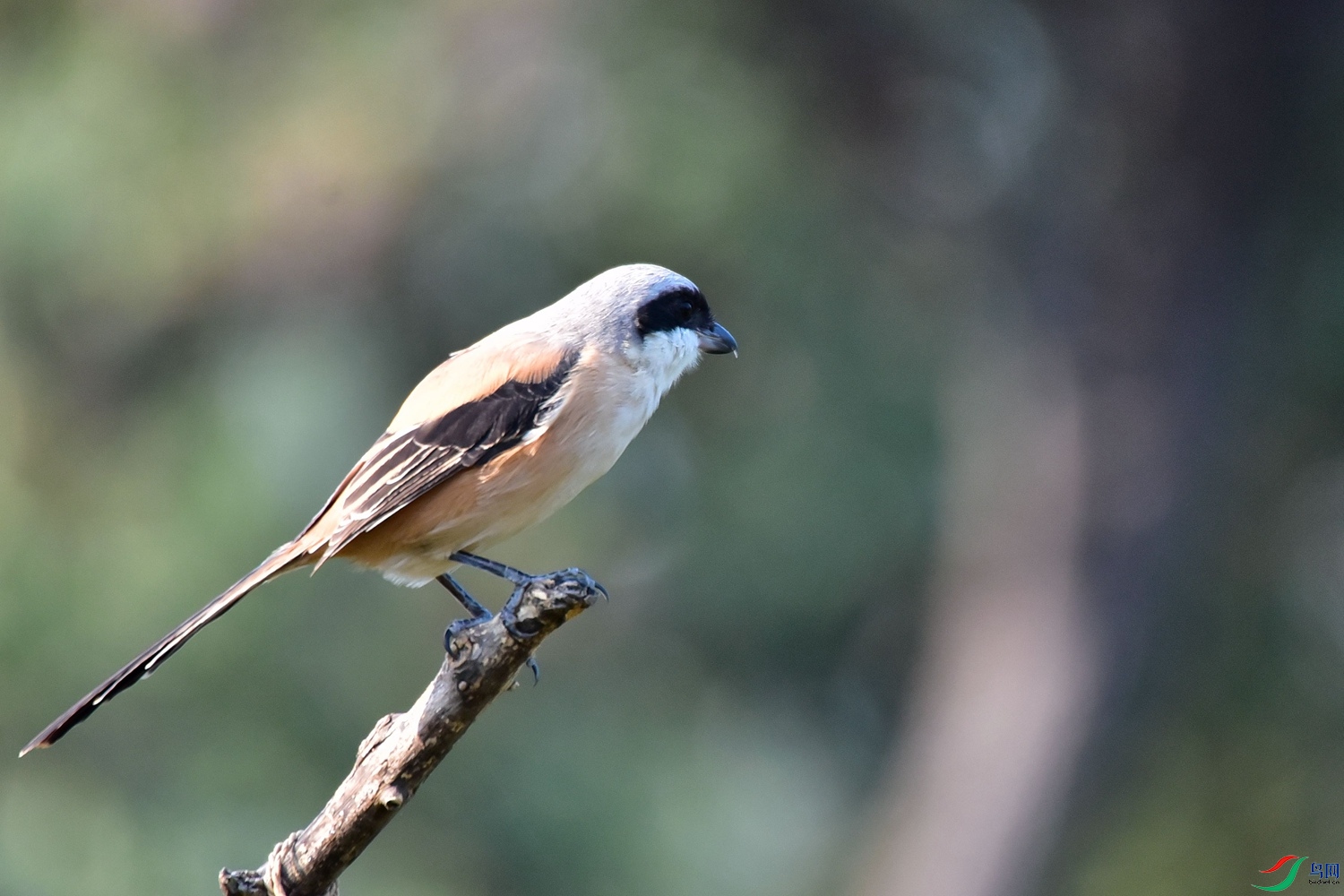 DSC_2143.JPG