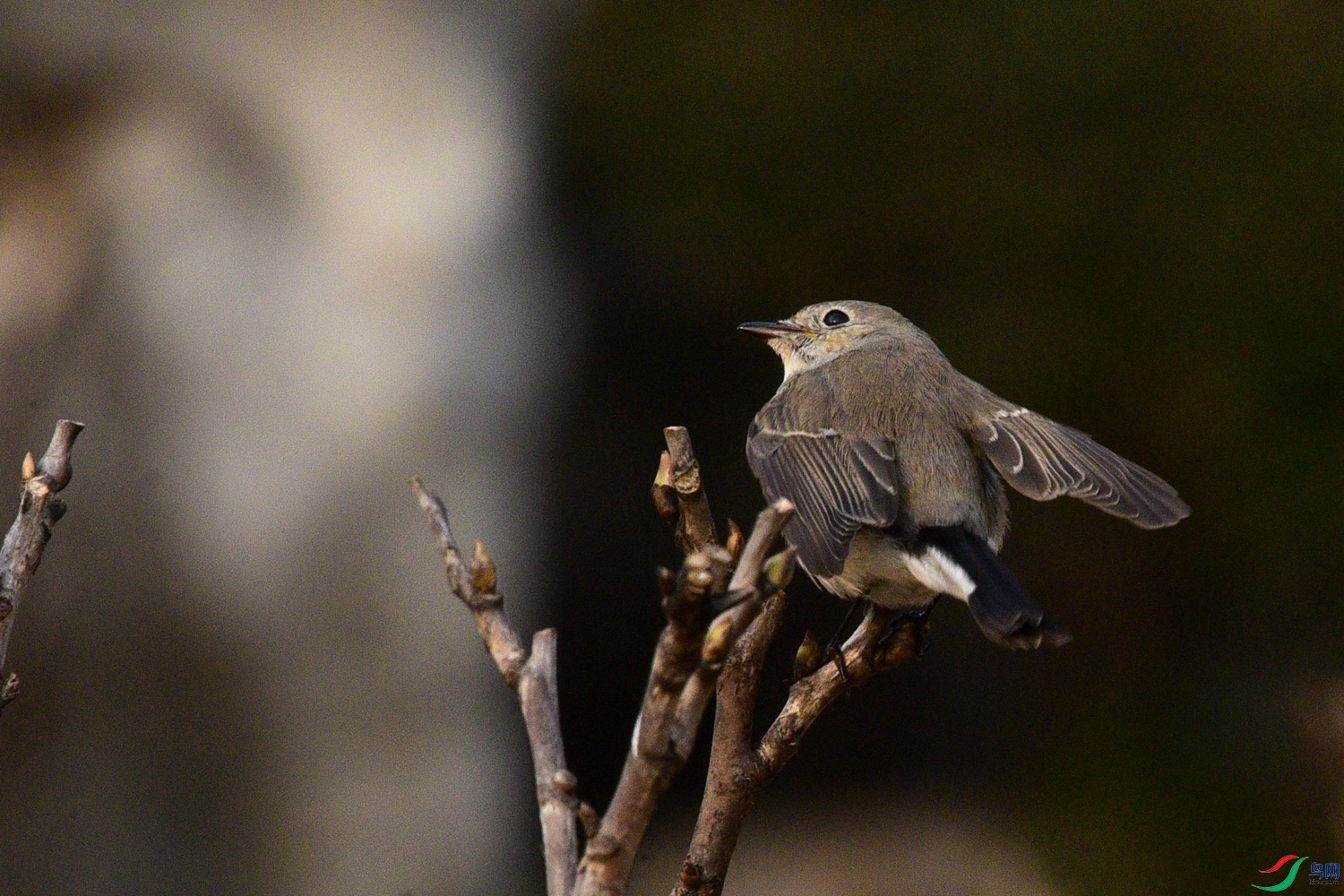 DSC_2102.JPG