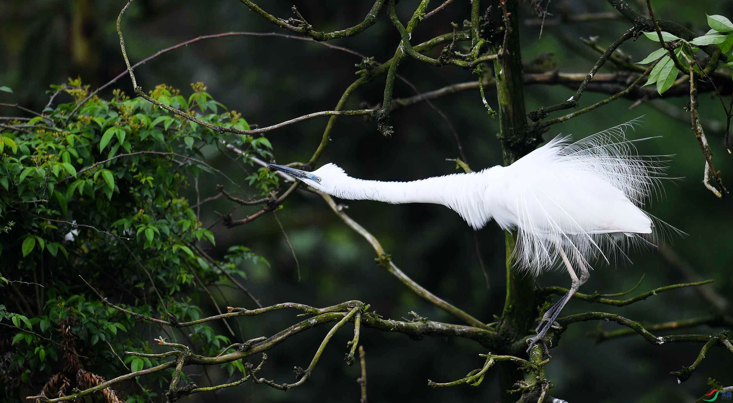 DSC_4278_���� (2).jpg