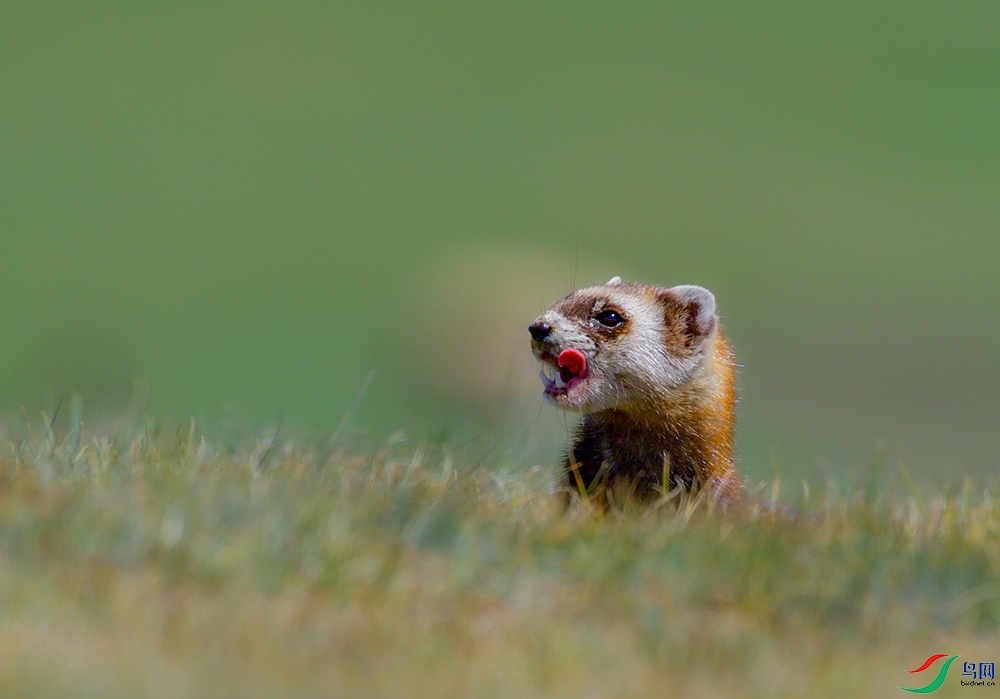 DSC_6424 ����.jpg