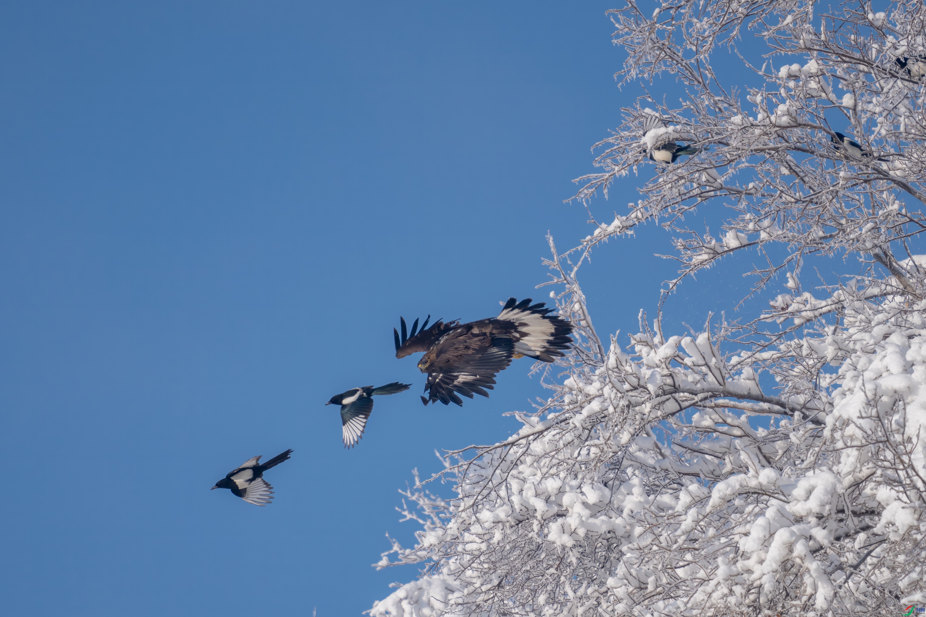 DSC04104 ���� 2.jpg