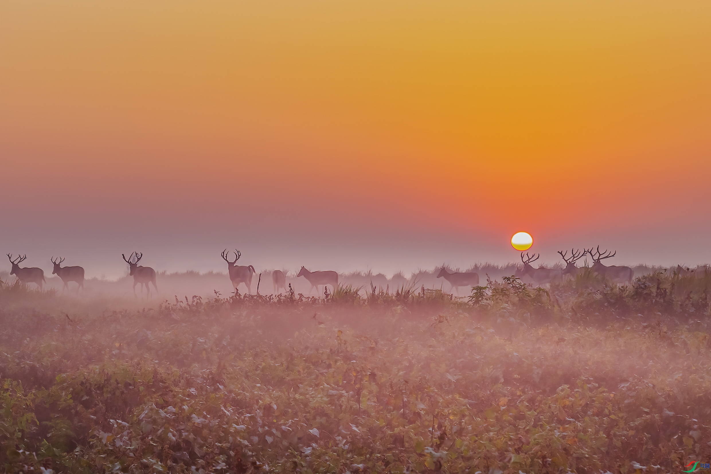 G81A9994 ����.jpg