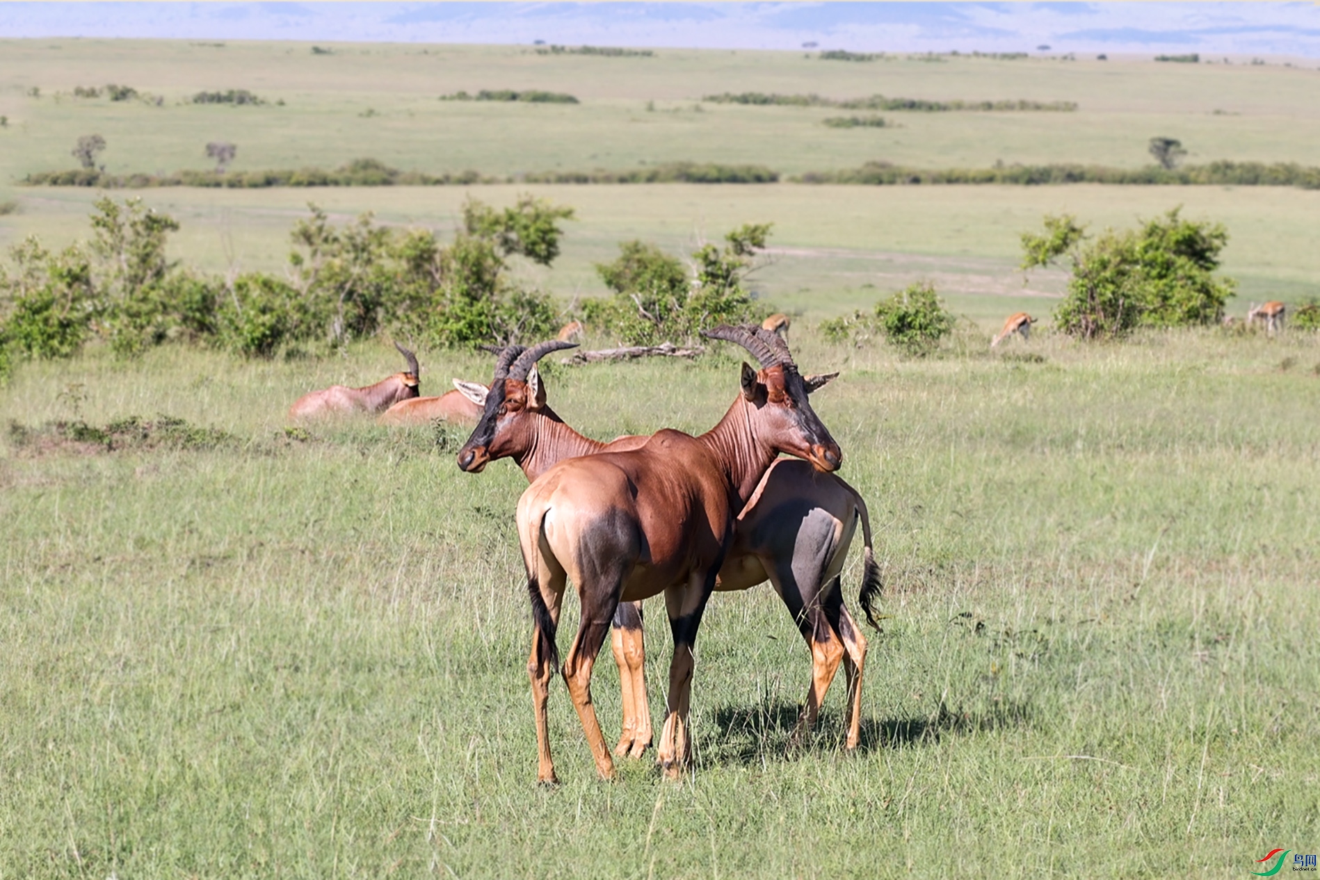 DSC_8463 ����.jpg