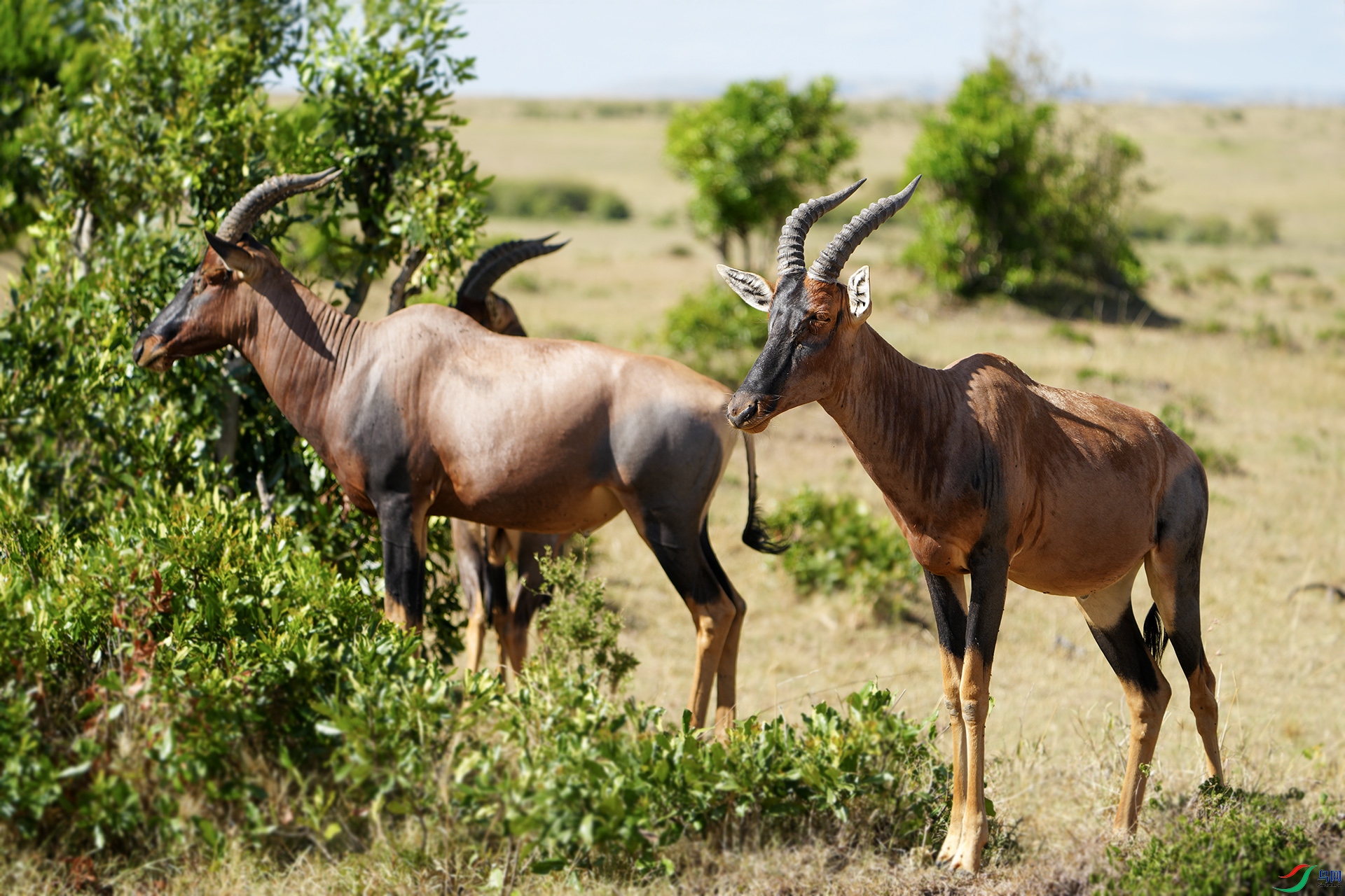 DSC_8438 ����.jpg