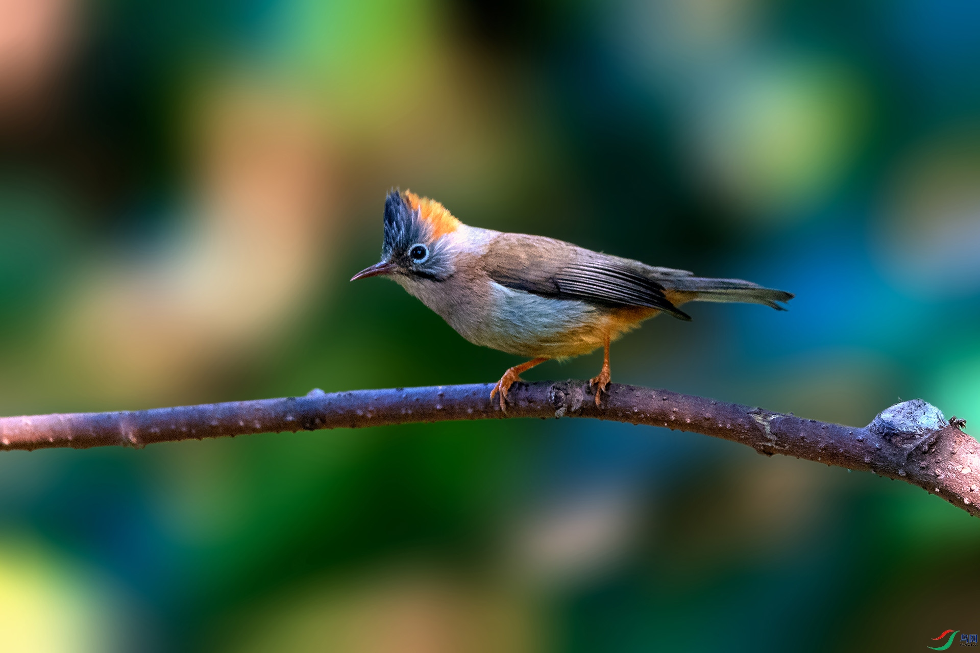 _AUU4099���η���(24.2.17).jpg