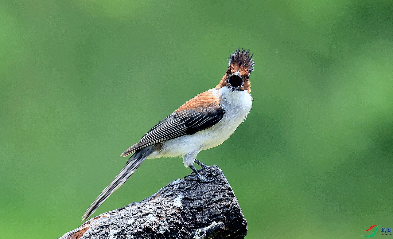 �����̽��� 2.jpg