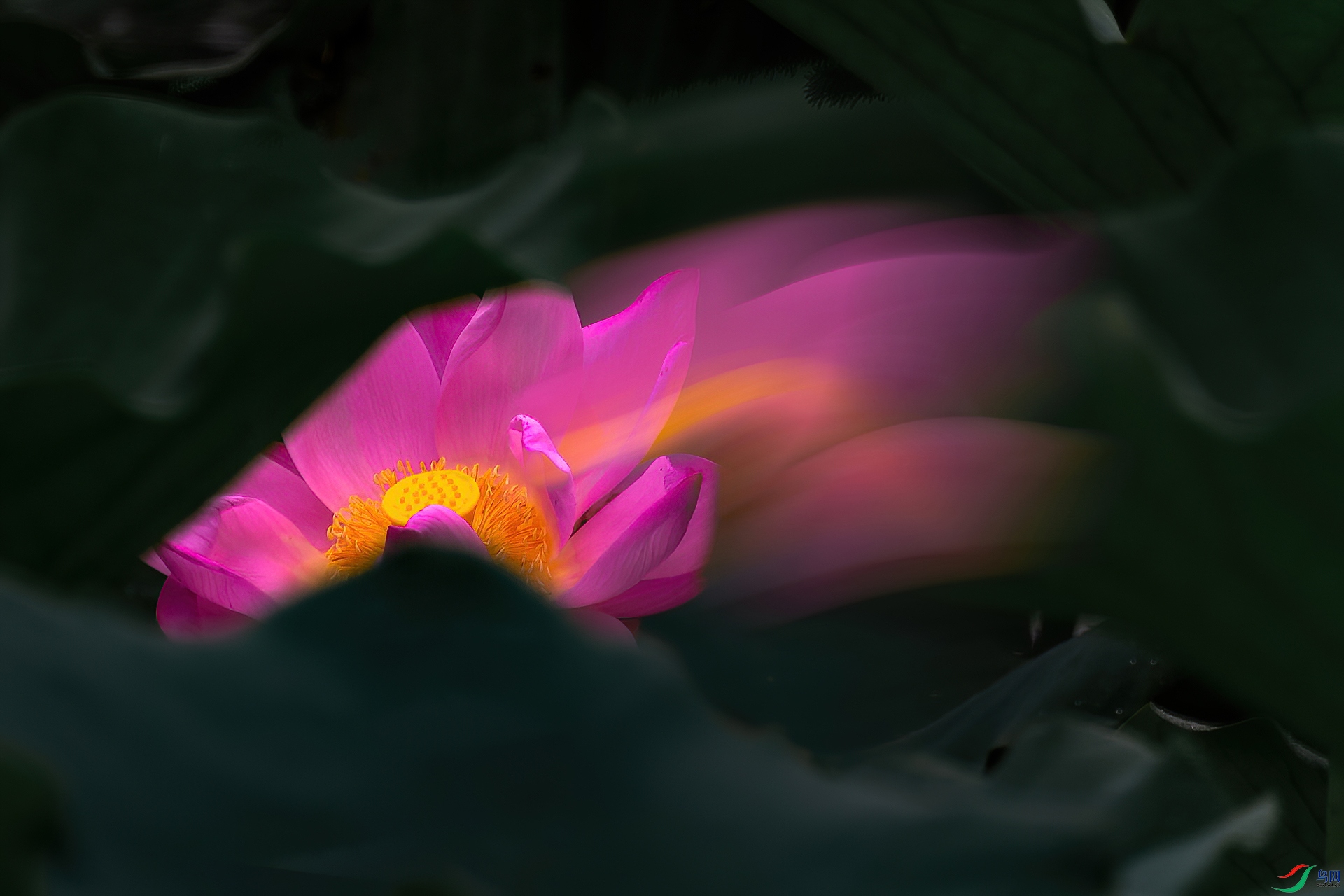 _MG_4334.jpg