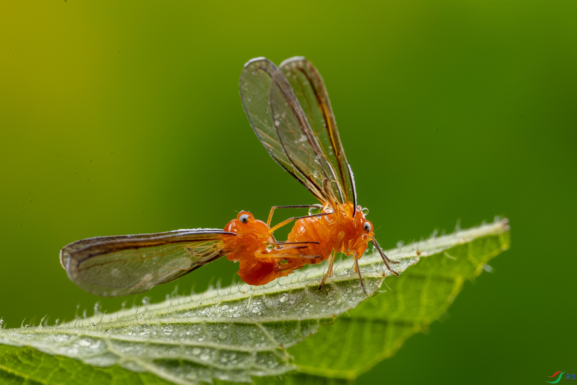 451A8889.jpg