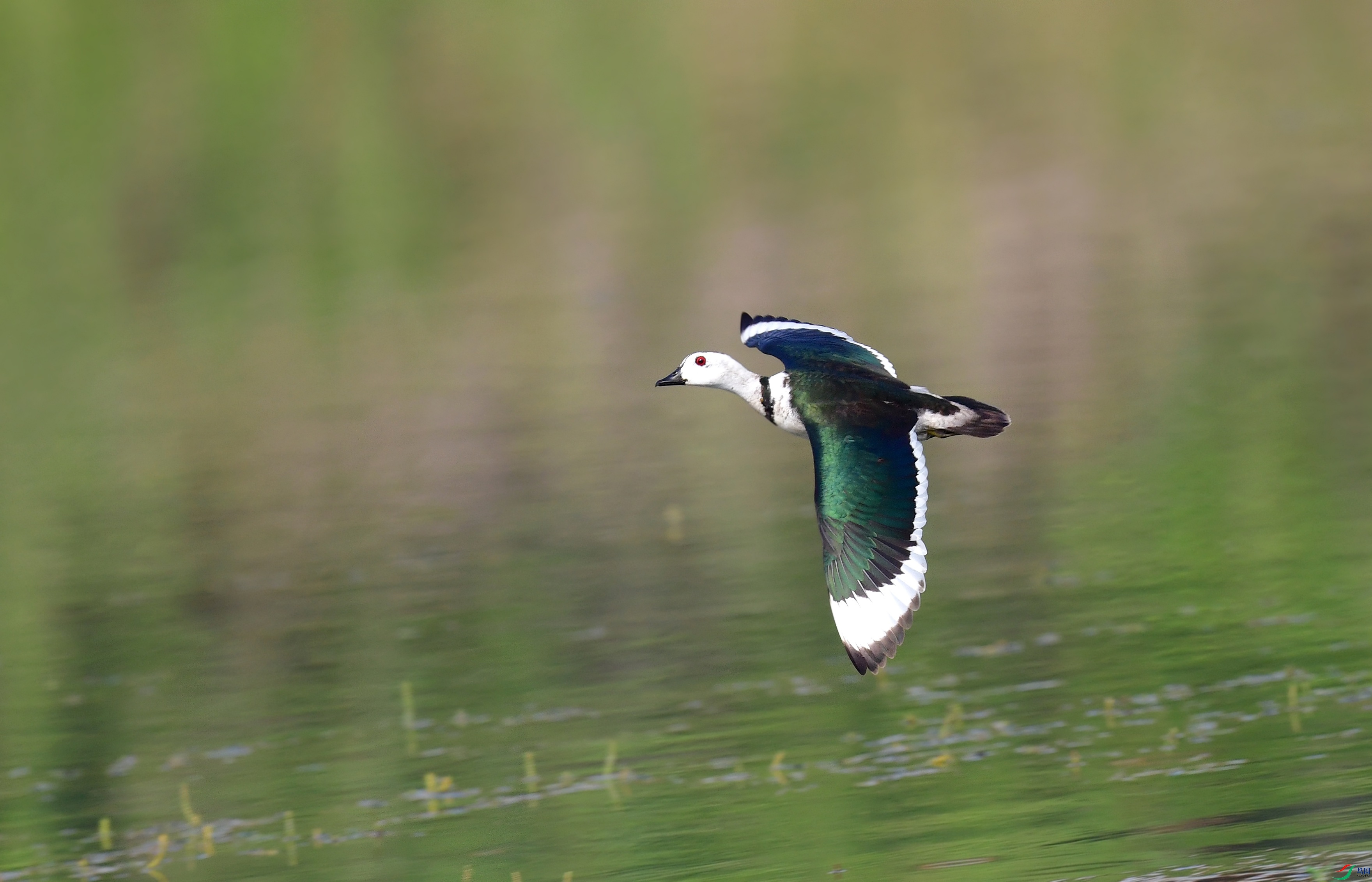 DSC_4882_conew16.jpg