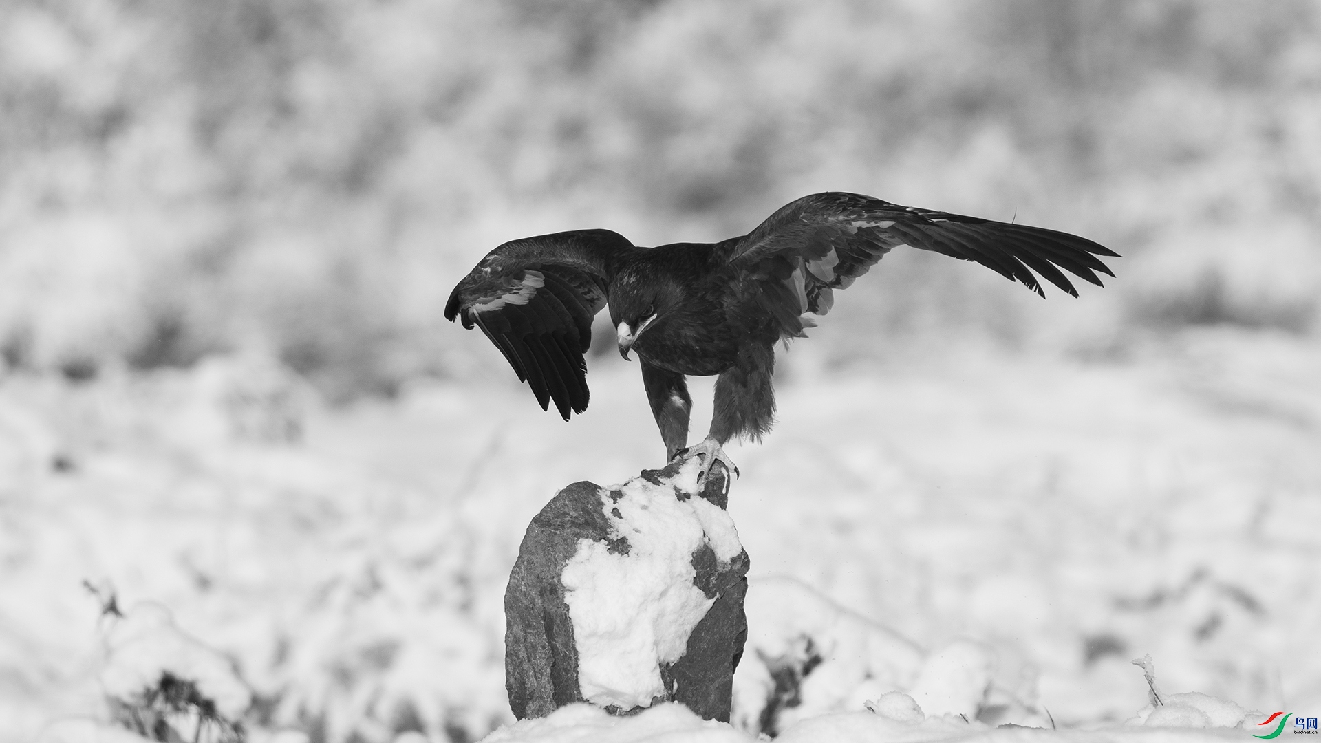 DSC05112 ����.jpg