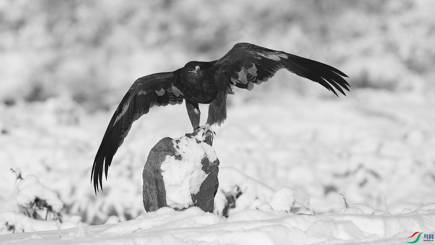 DSC05109 ����.jpg