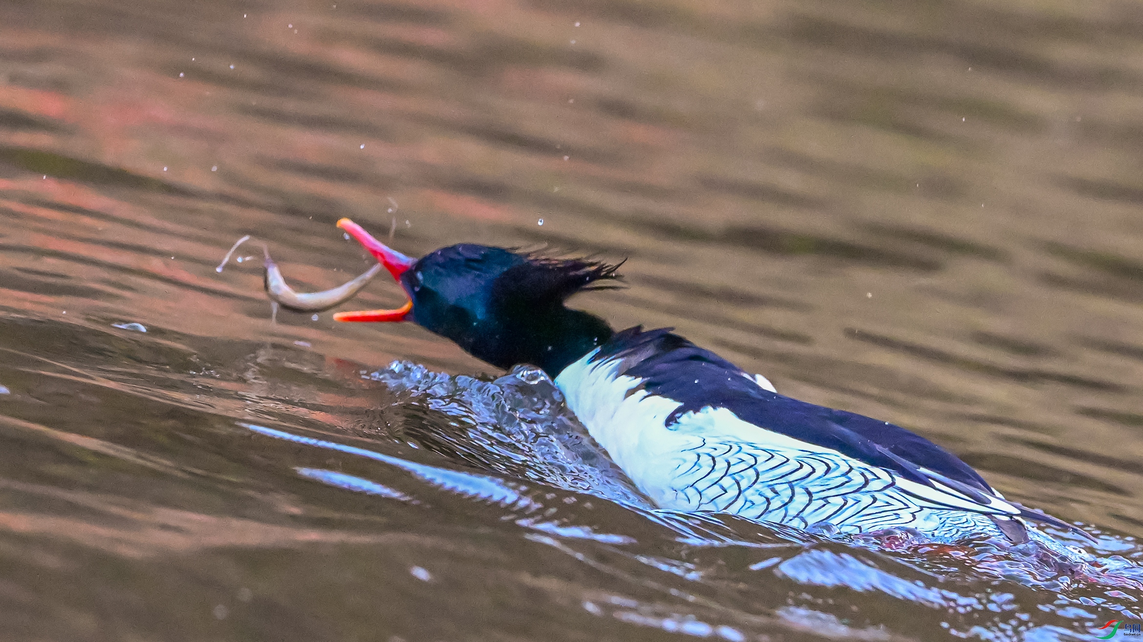 1446 ����.jpg