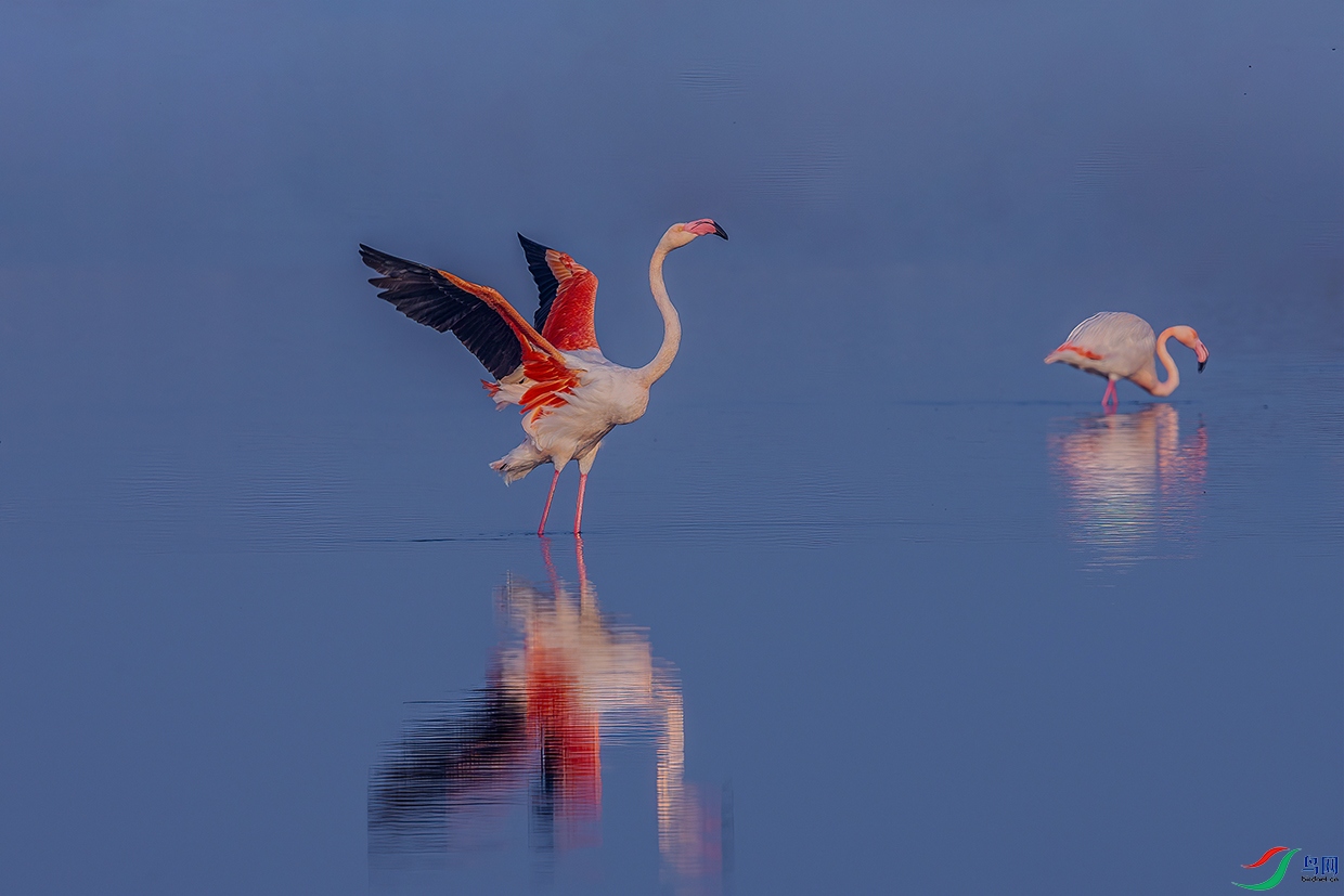 C09R2154 ����.jpg