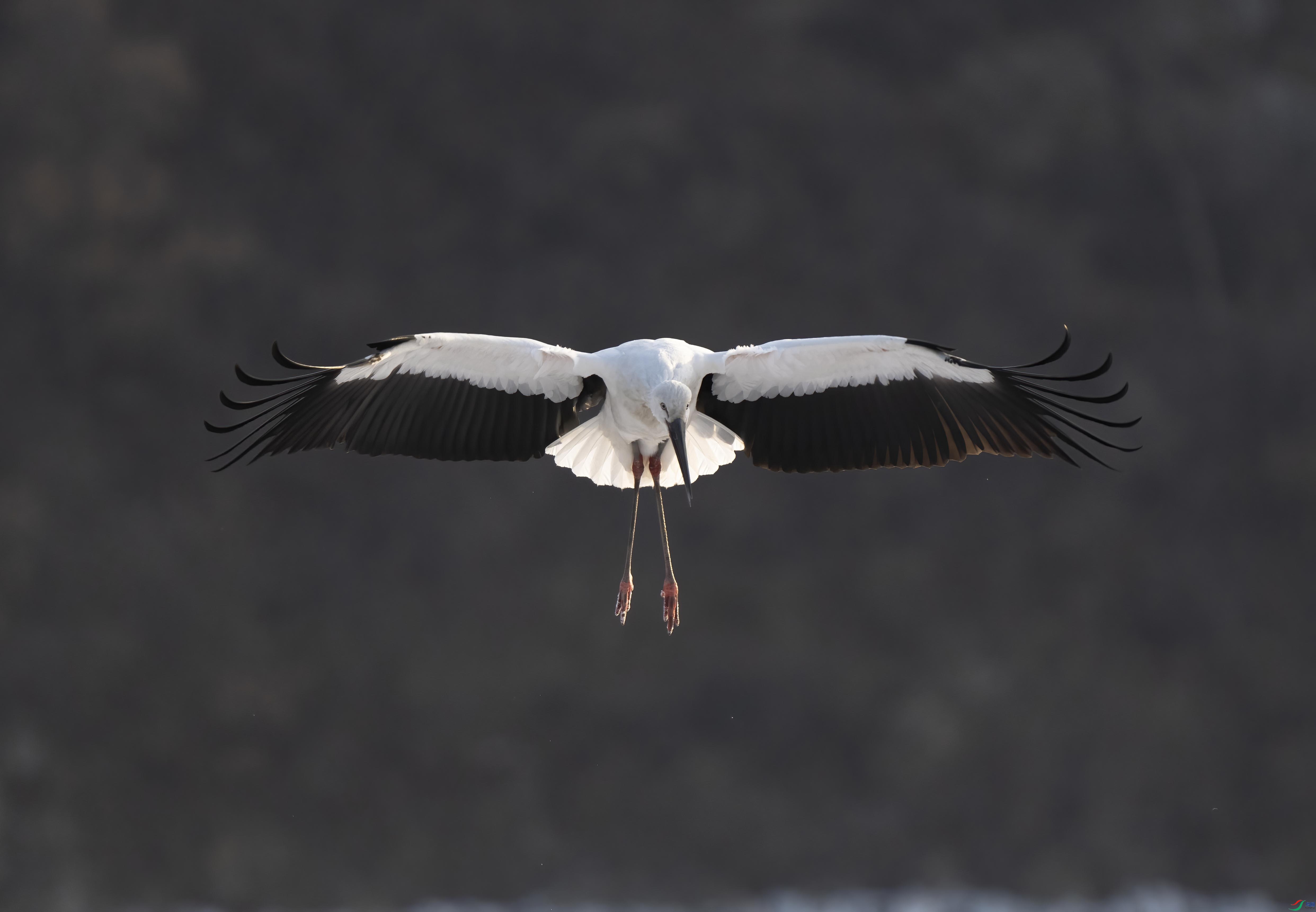 DSC01213 ����.jpg