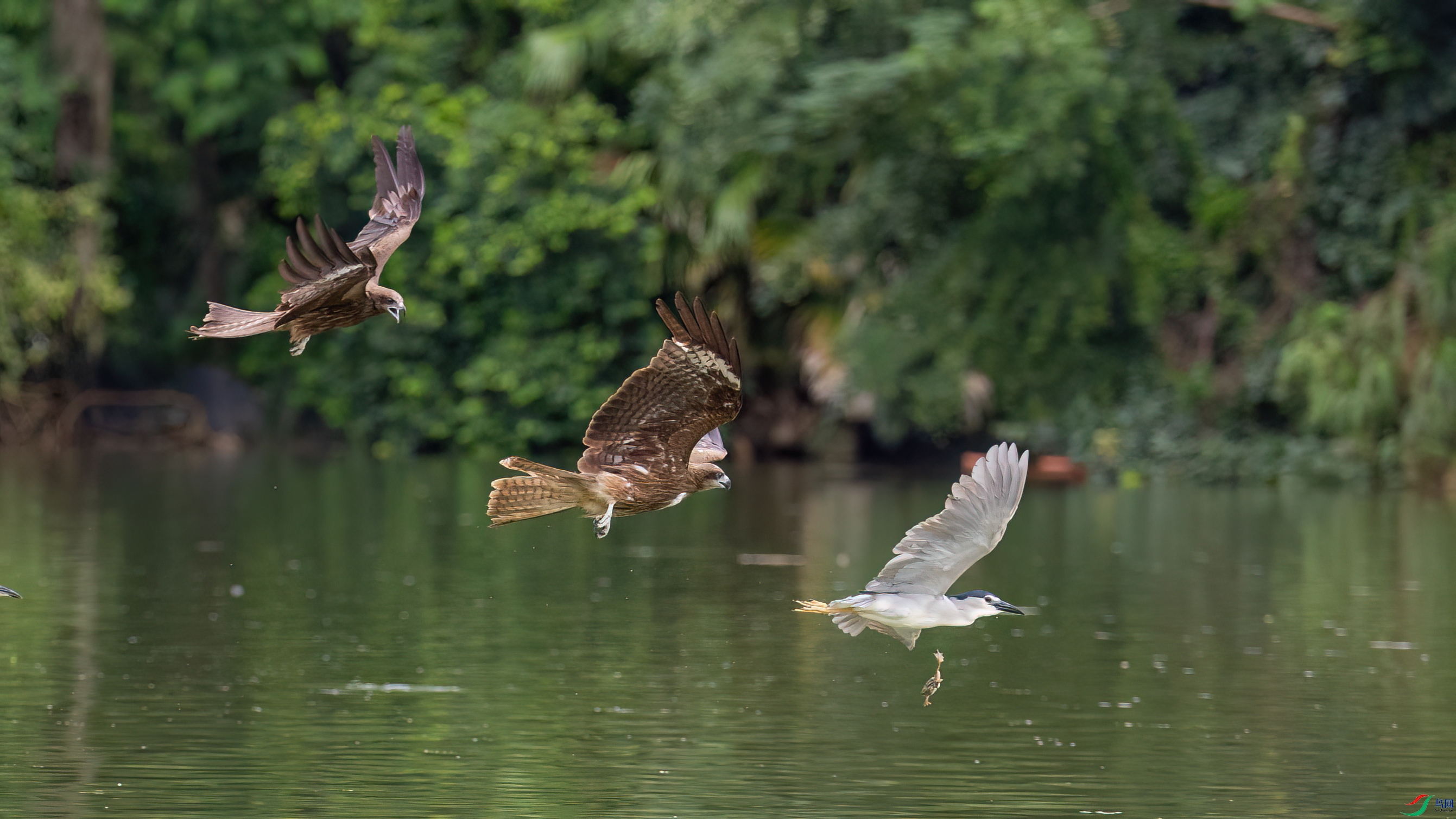 0R7A6398 ����.jpg