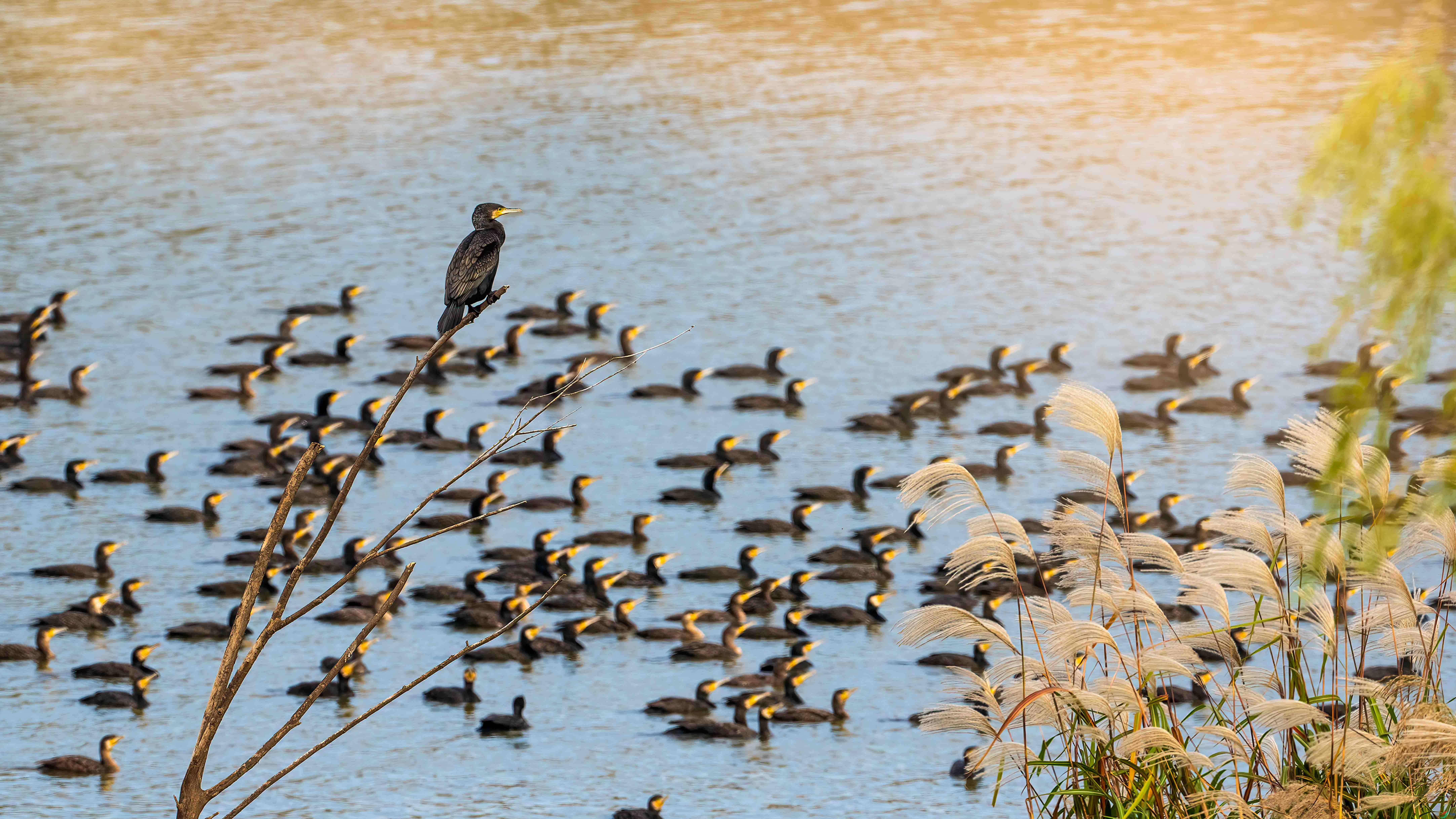 DSC01541 ���� 2.jpg