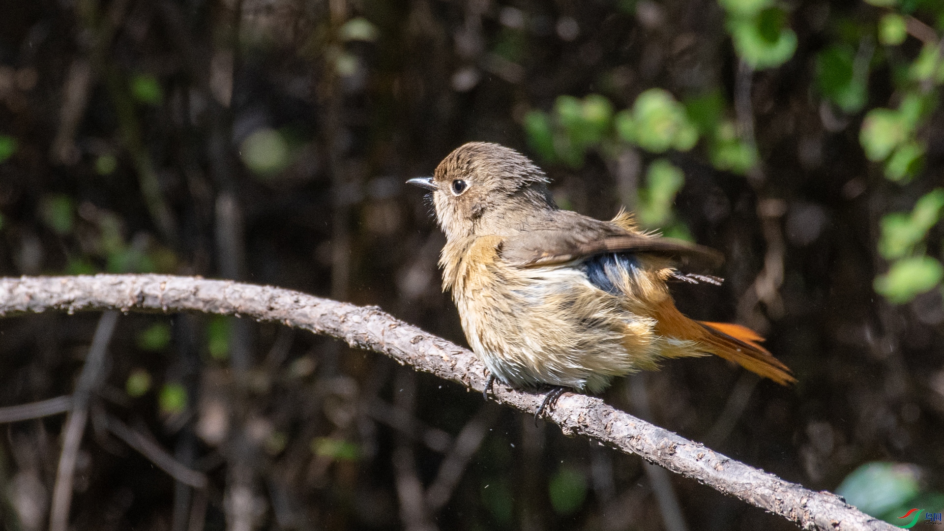 DSC_2052.jpg
