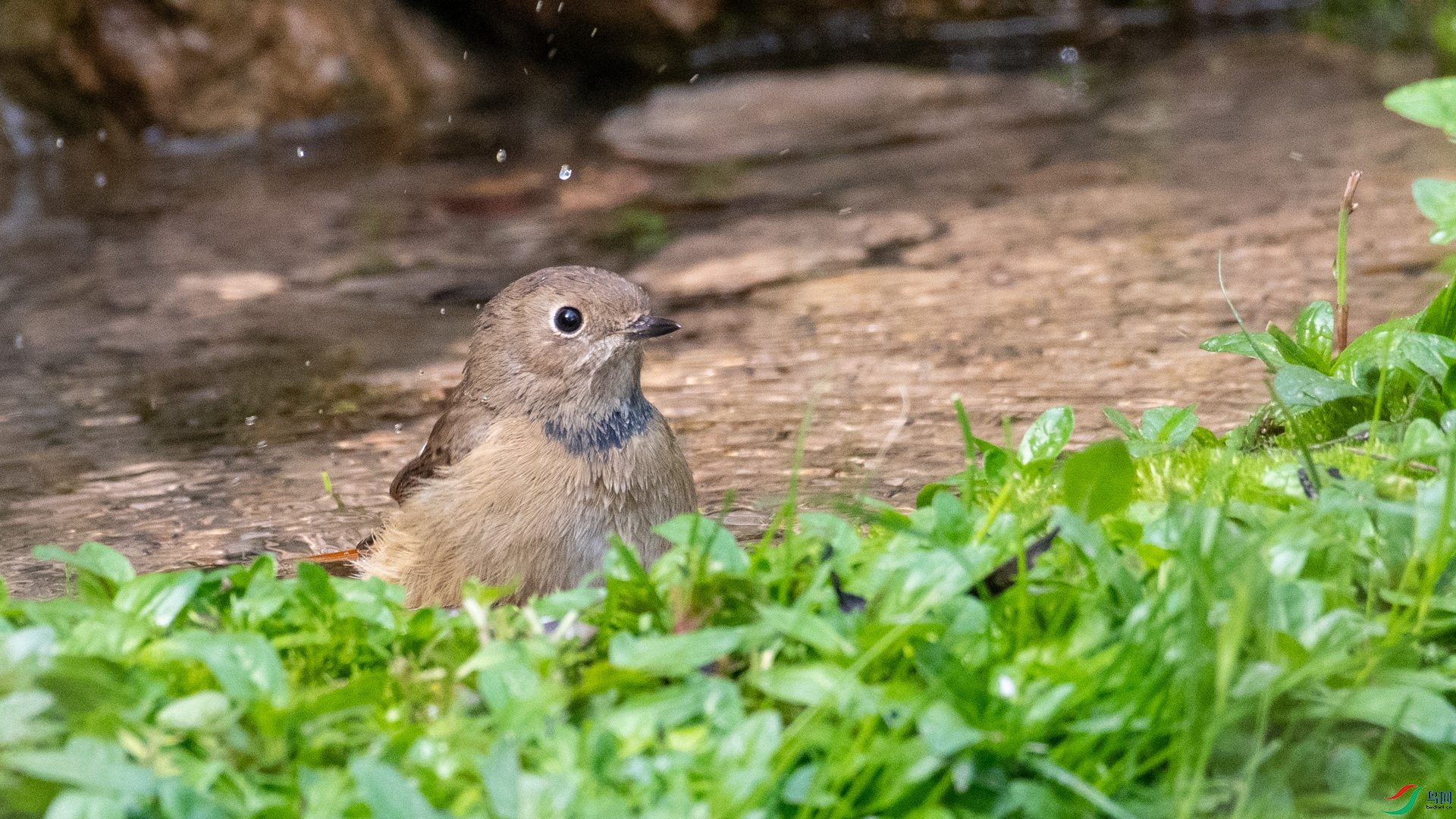 DSC_2076.jpg