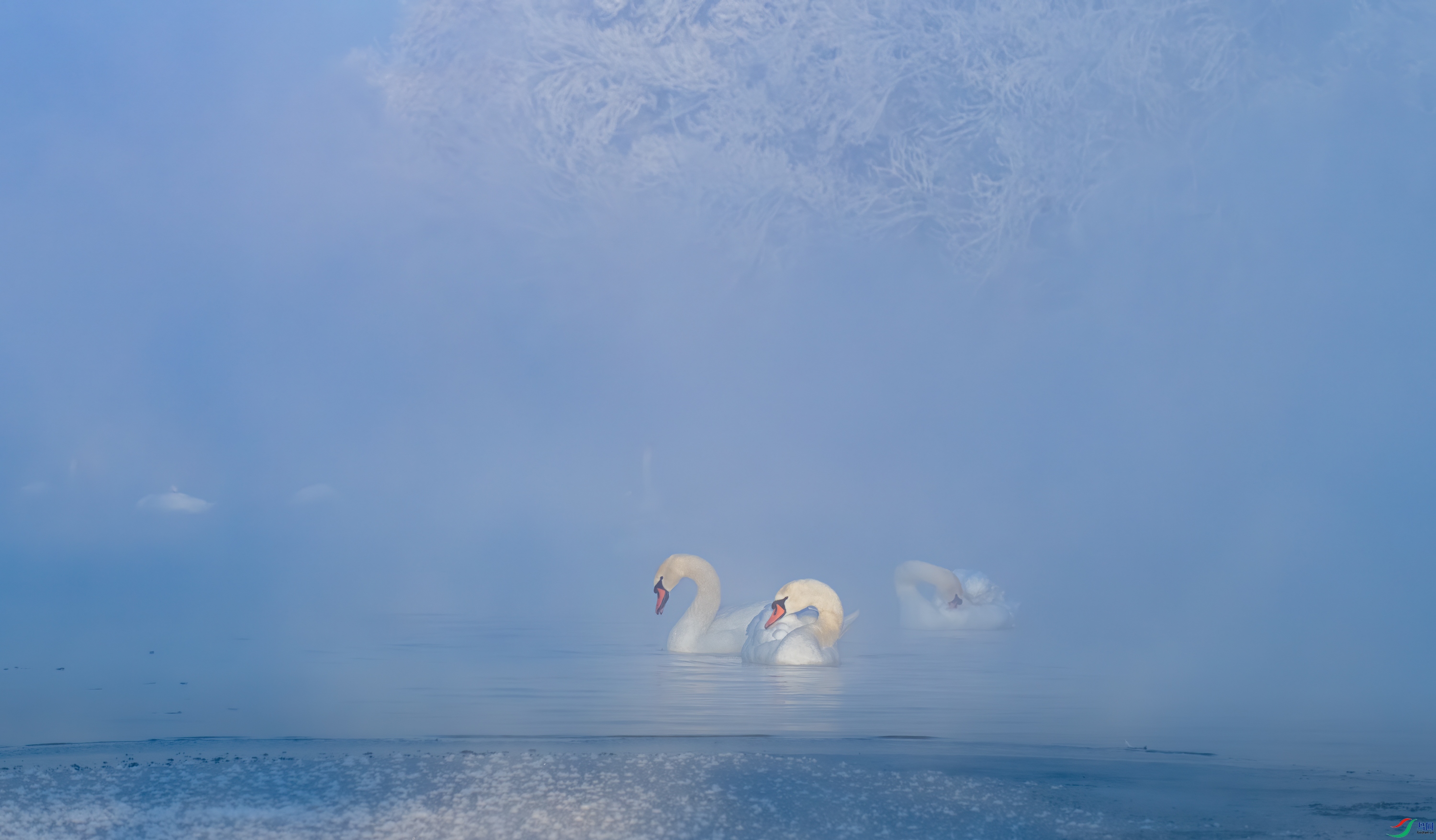 DSC_1515-11.jpg