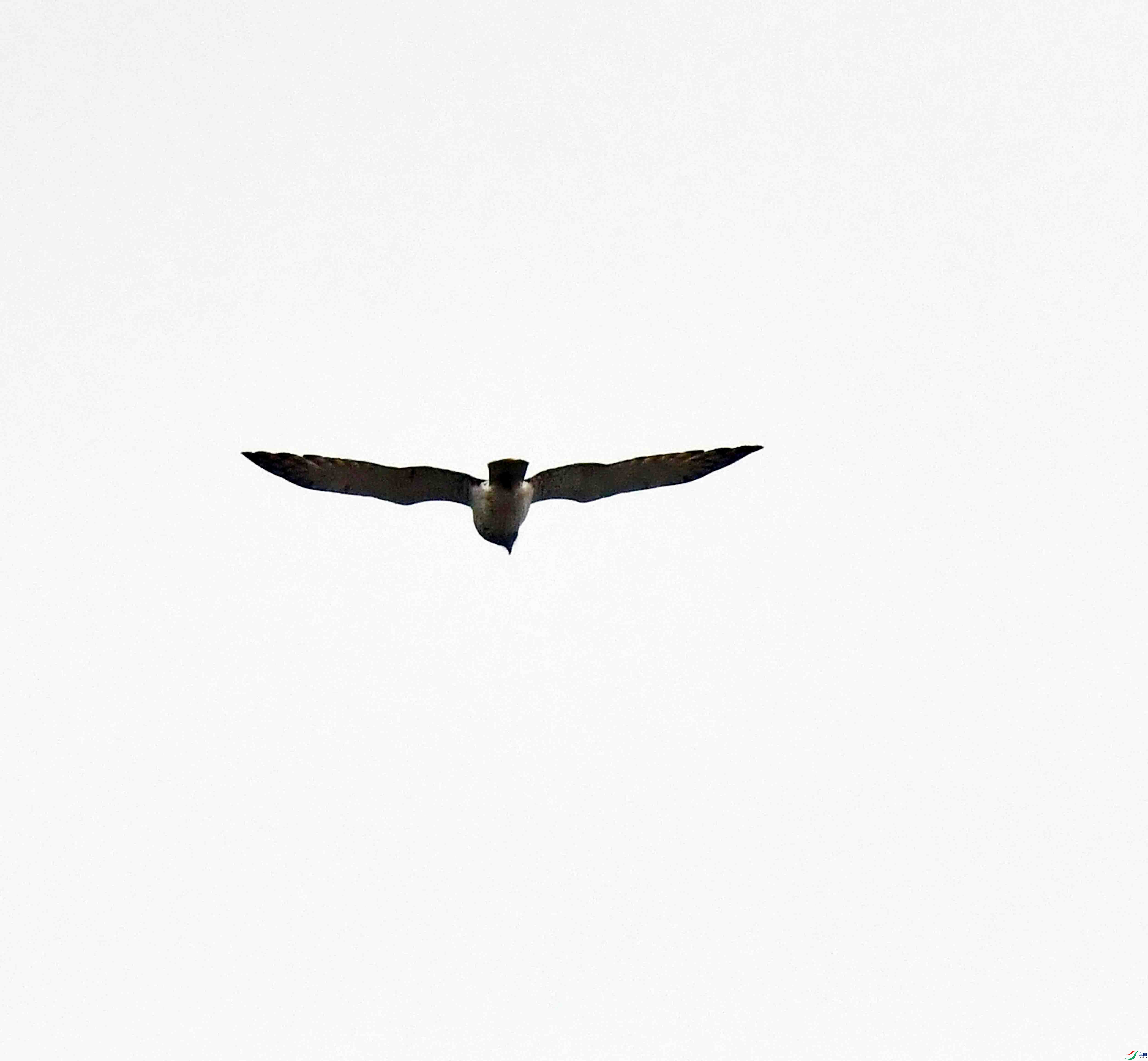 DSC_9984.JPG