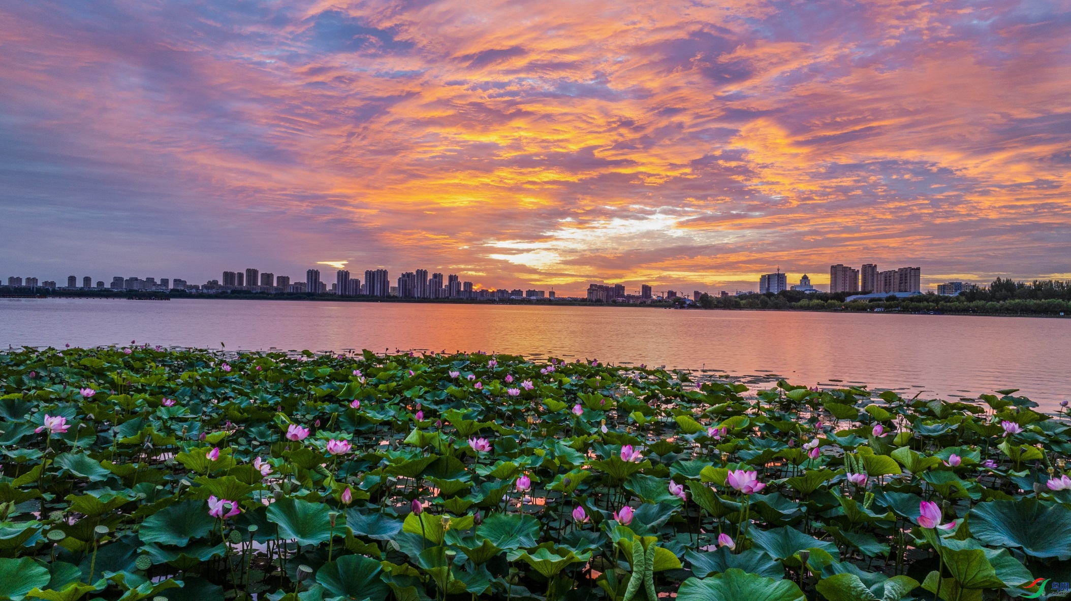 dji_fly_20240813_042818_683_1723496166117_photo ����1.jpg