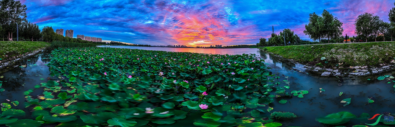 dji_fly_20240813_043008_684_1723496213949_pano ����1.jpg