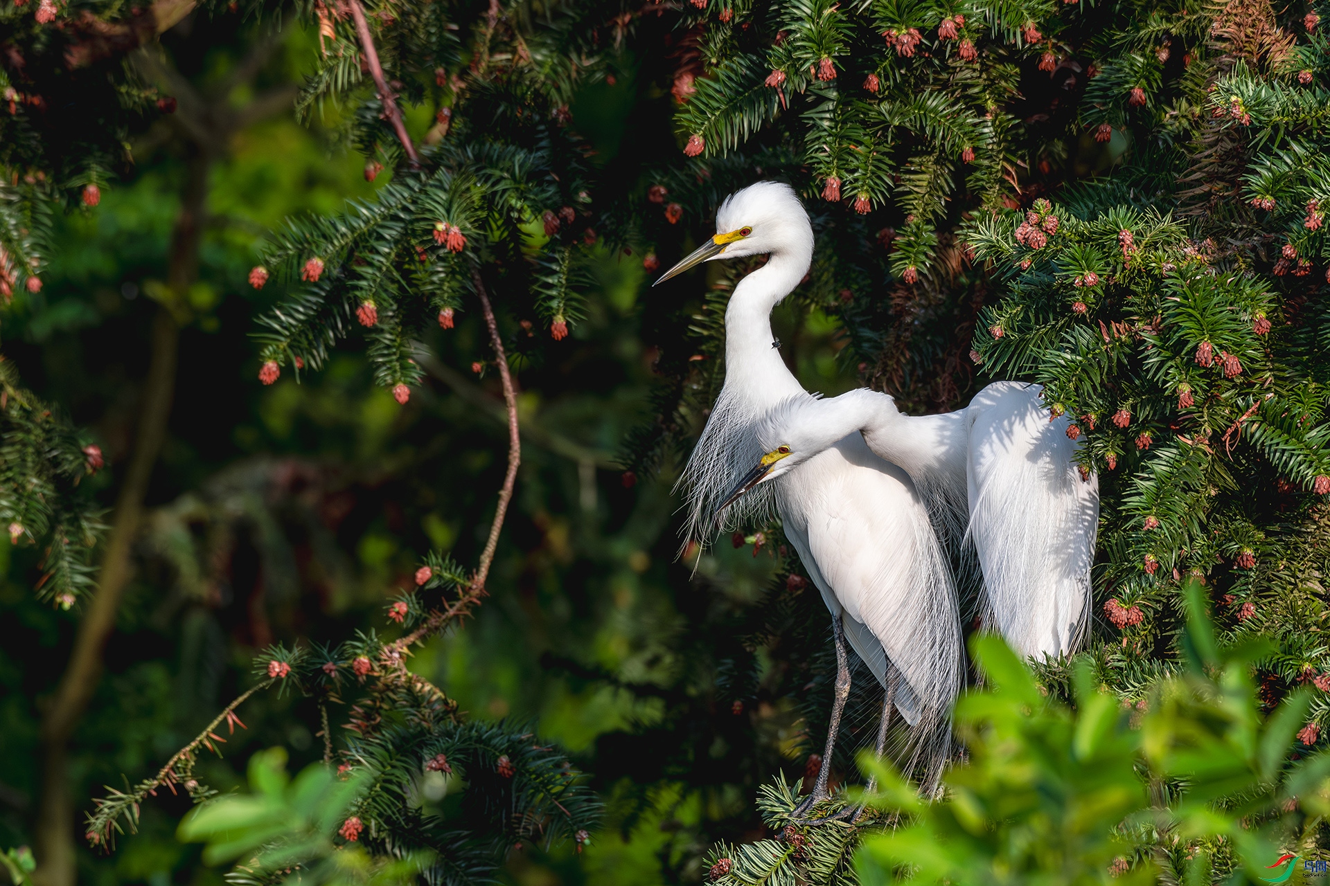 20240814���� ����.jpg