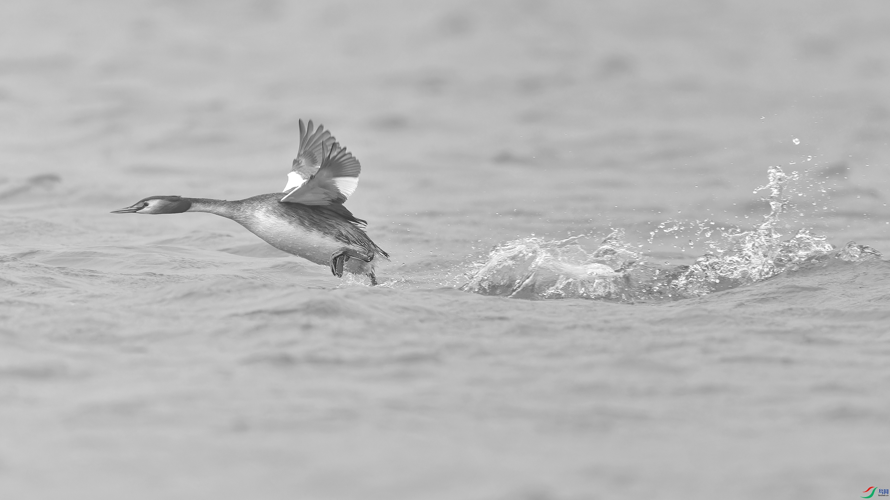 _DSC9453_DxO.jpg