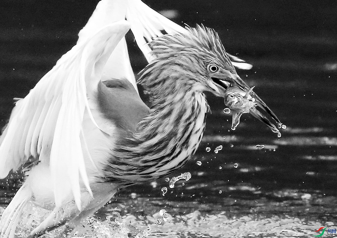 01-�� ��.jpg