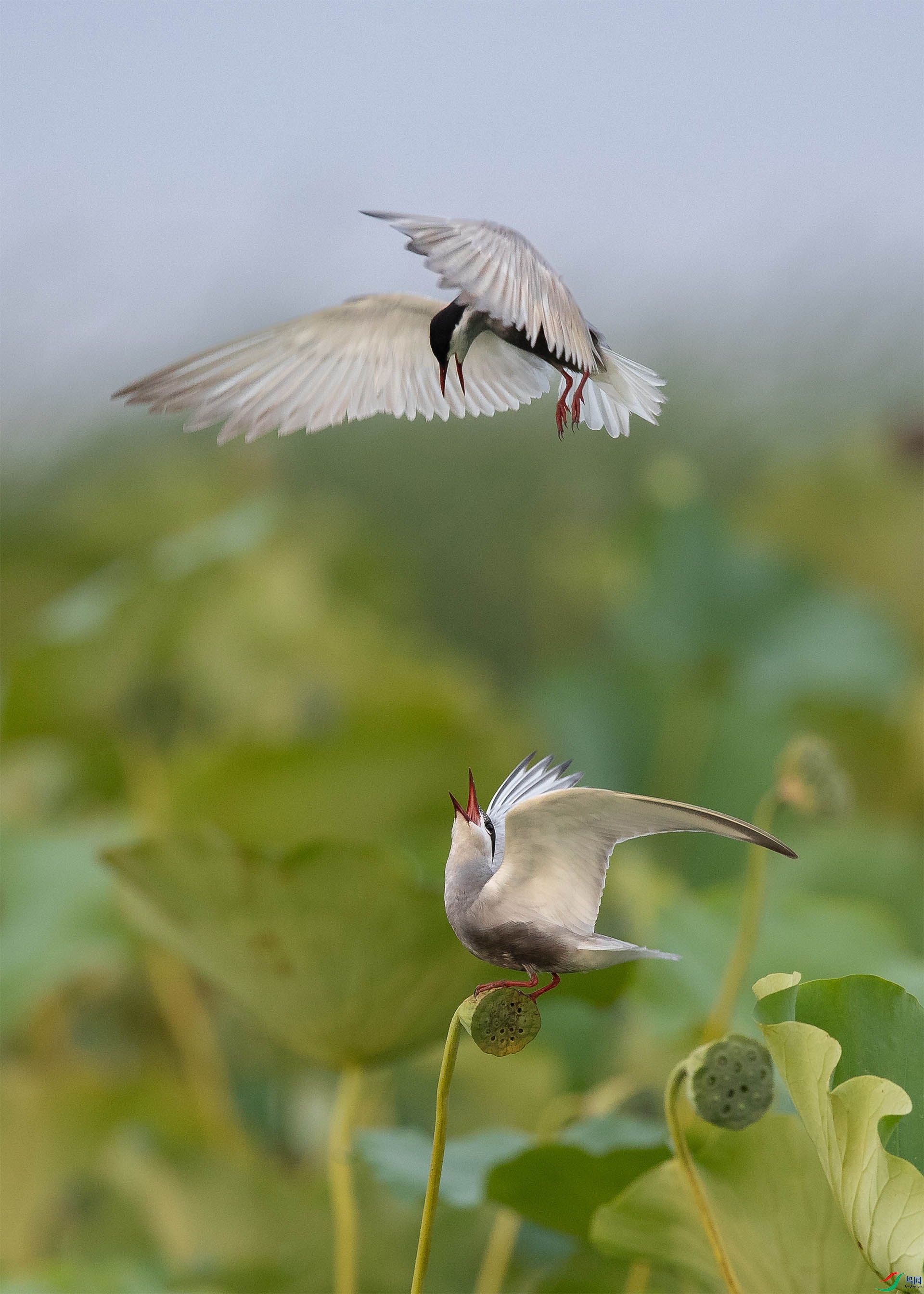 AB2I6122 ���� 2.jpg