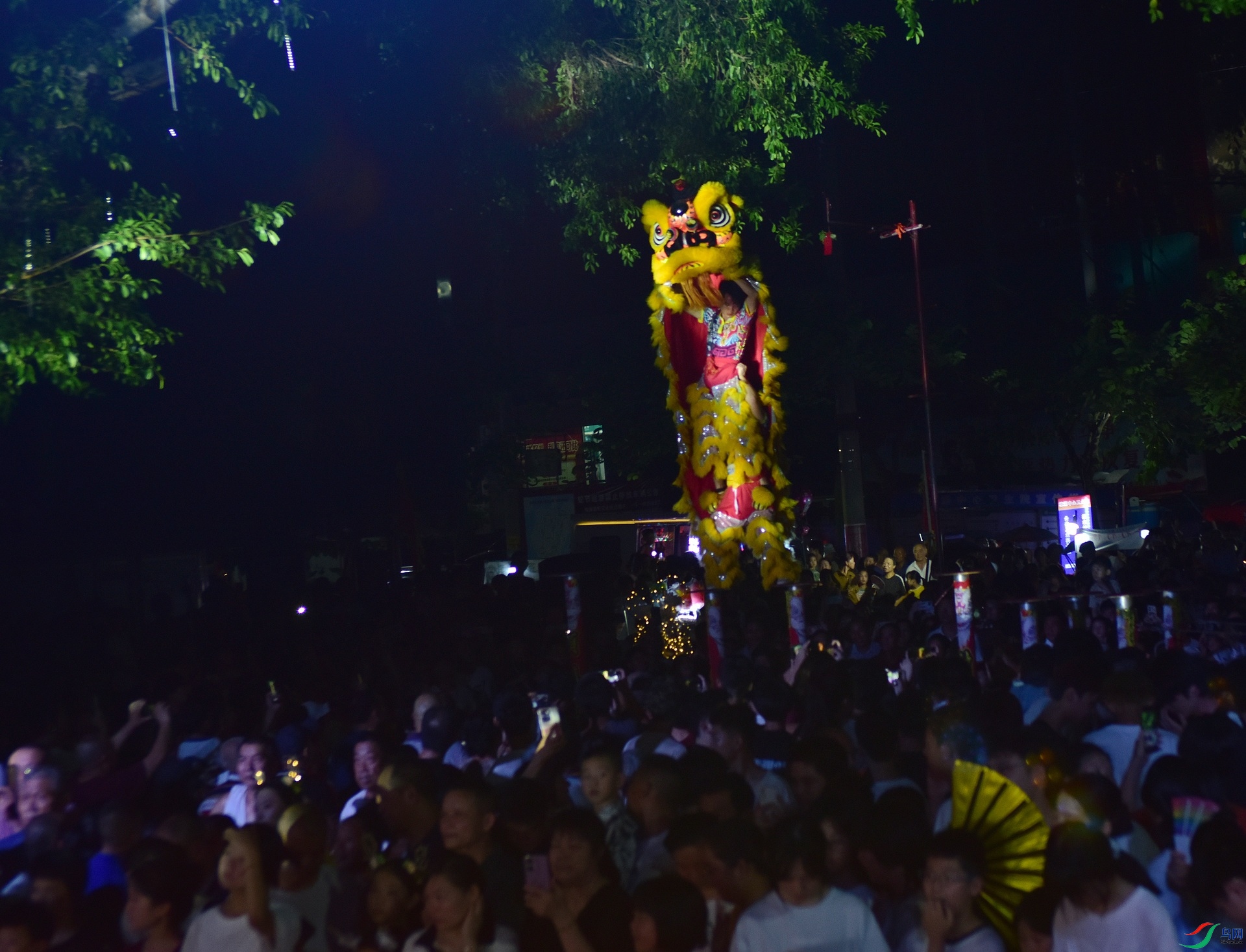 D8I_5978.jpg