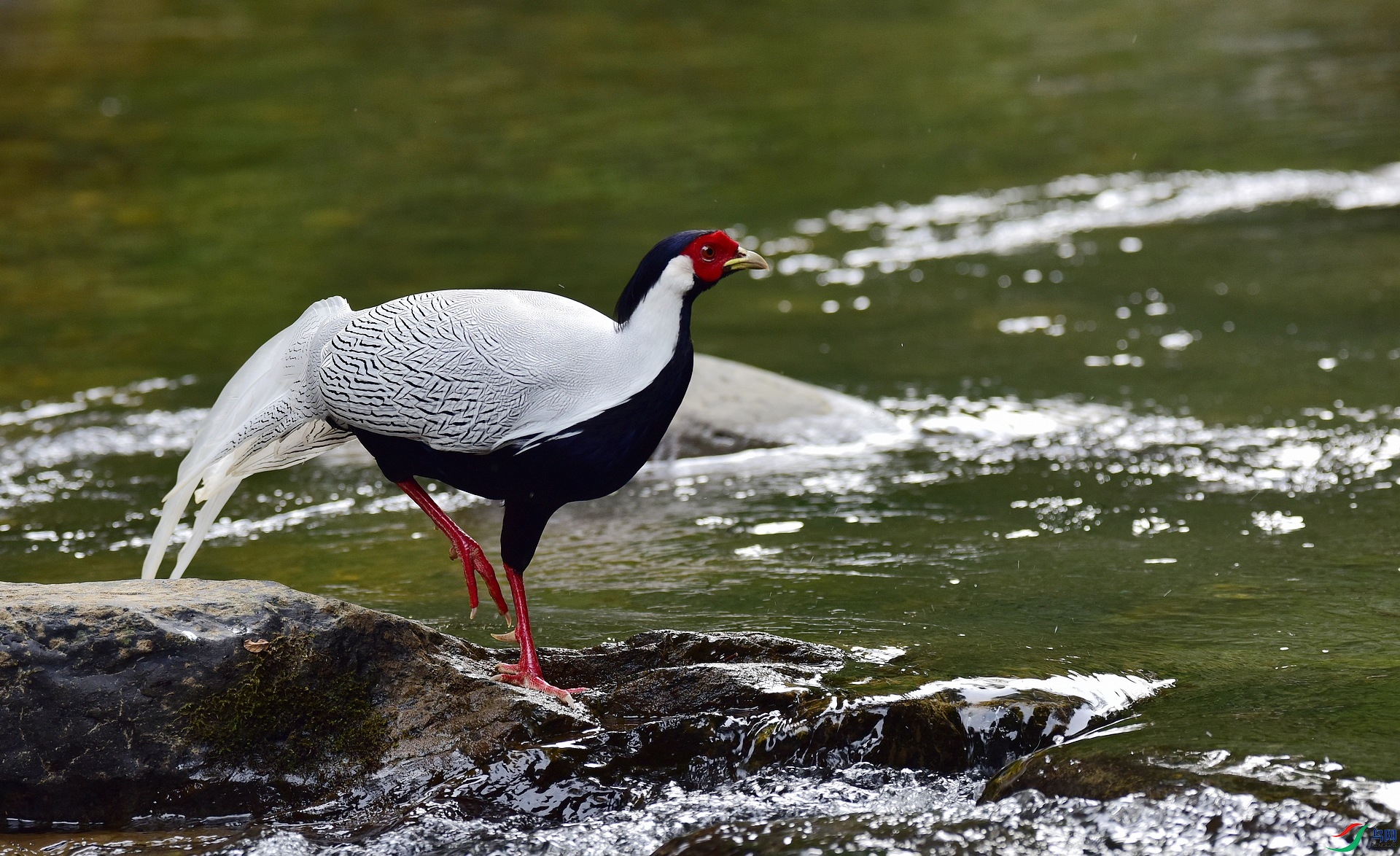 D8I_0989.jpg