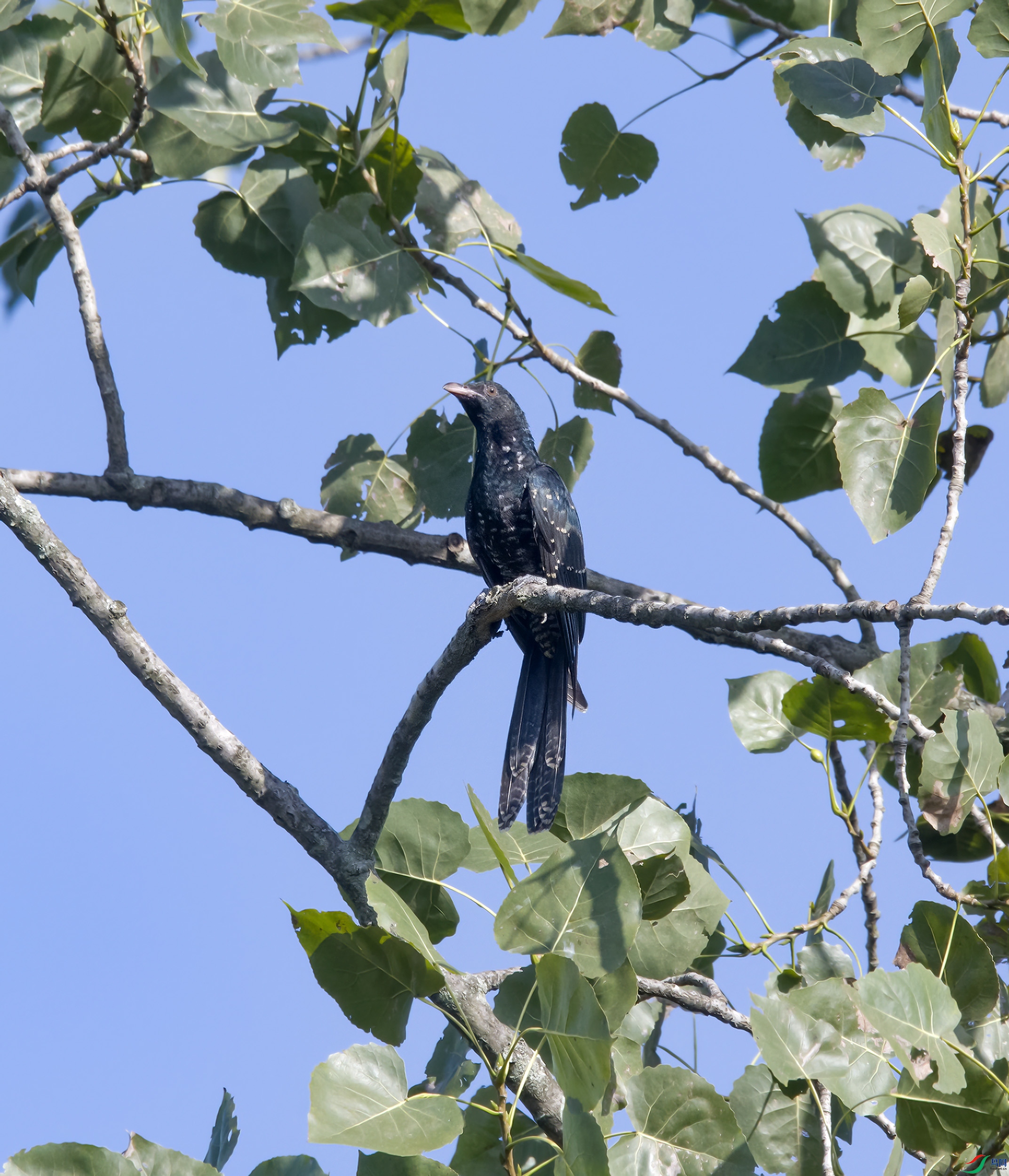 DSC_5056.jpg