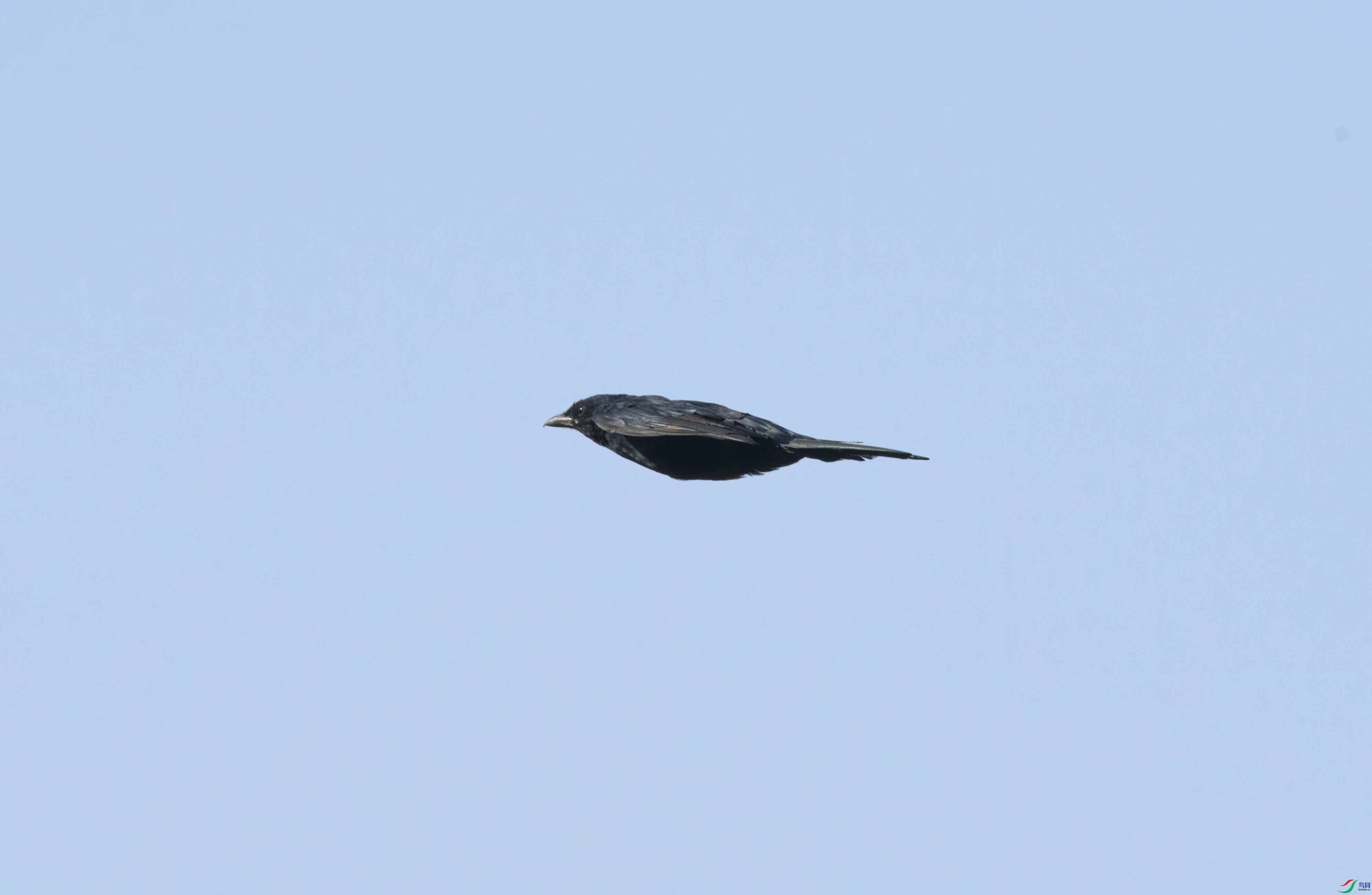 DSC_4833.jpg