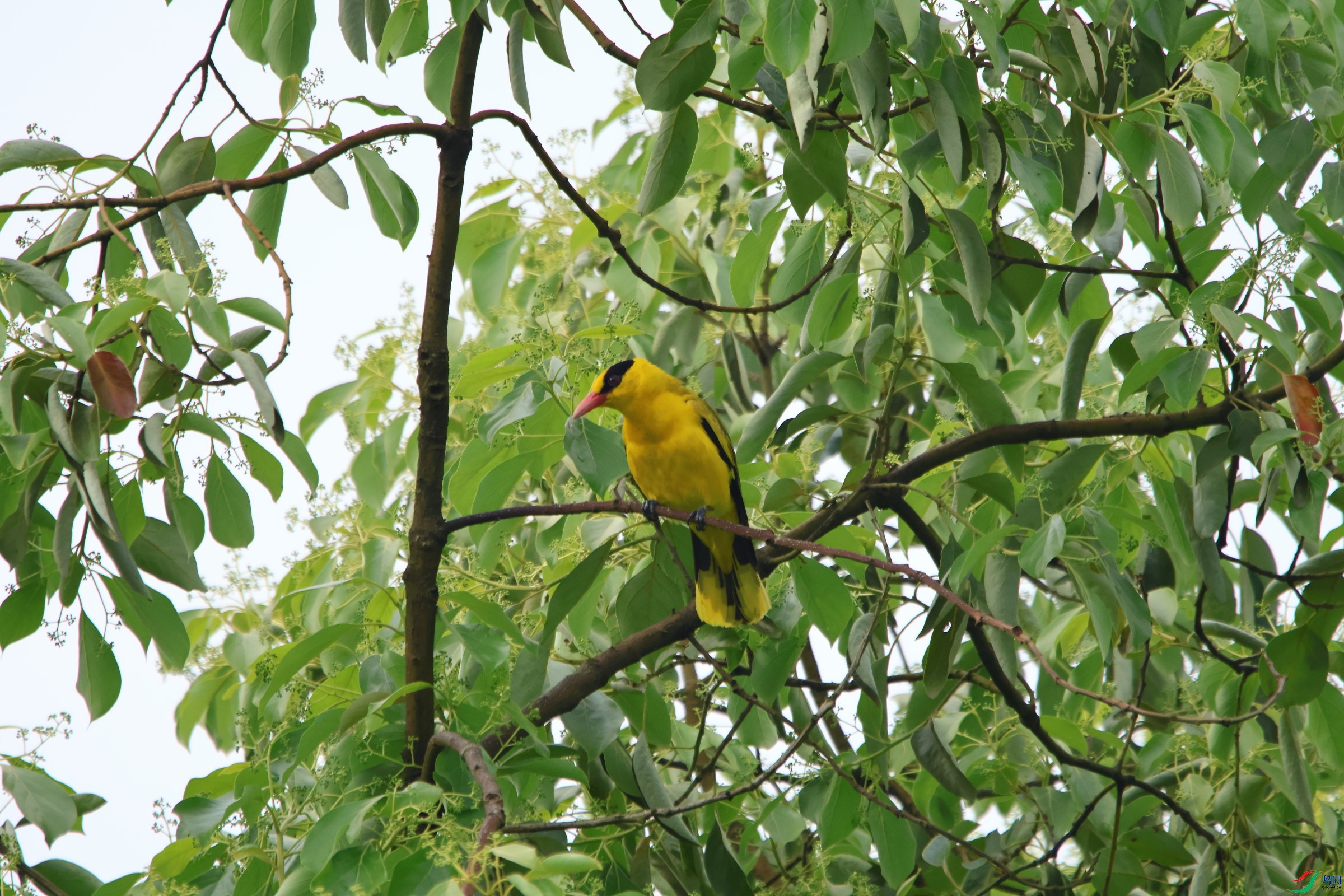 IMG_4035.JPG