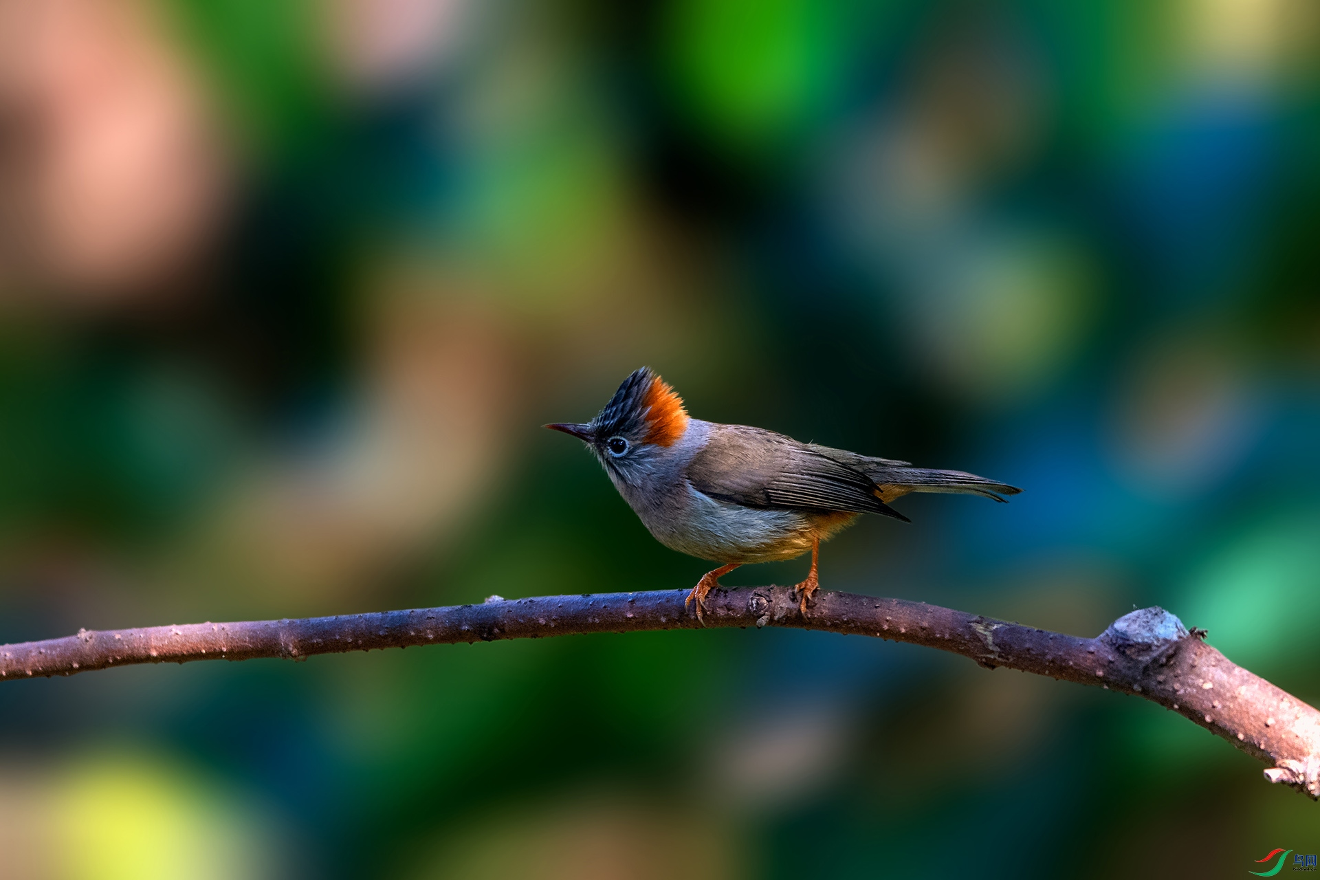 _AUU4102���η���(24.2.17).jpg