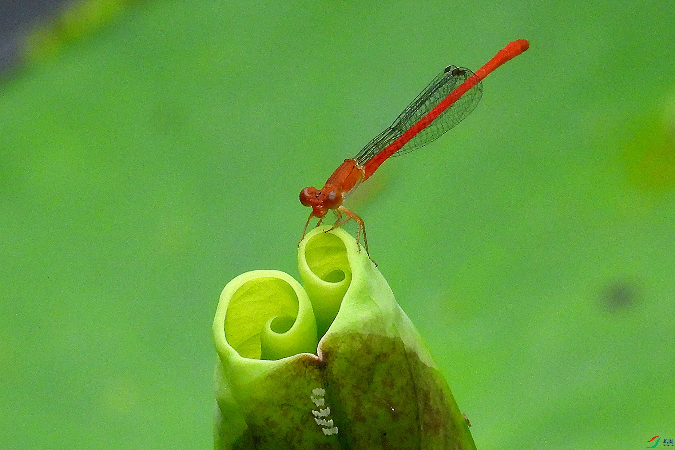 DSCN3551.JPG