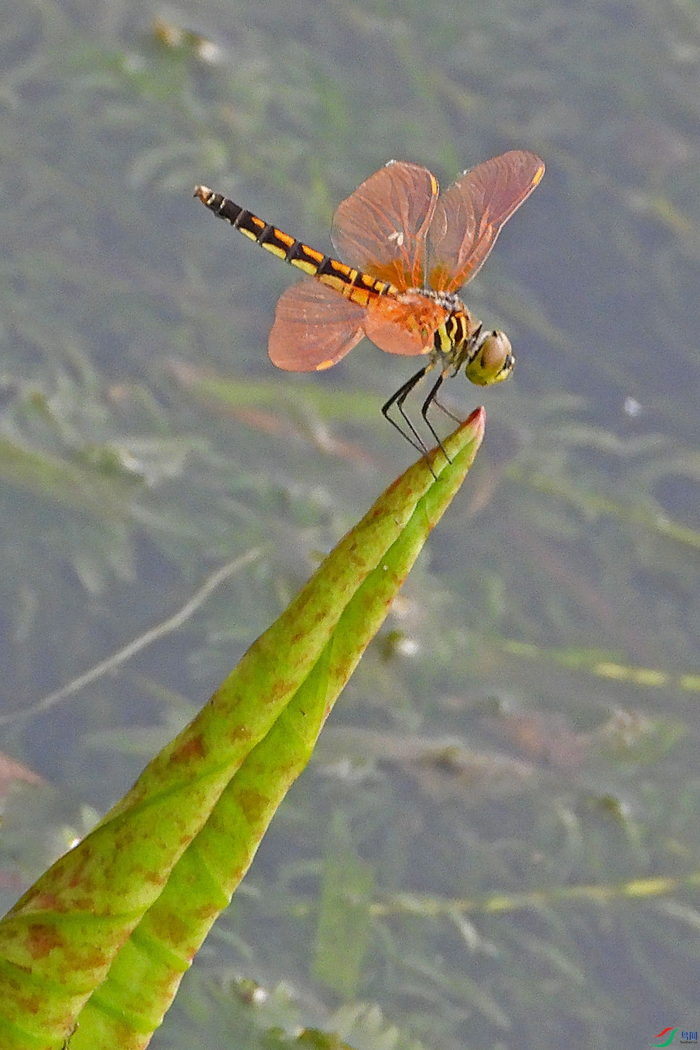 DSCN3557.JPG