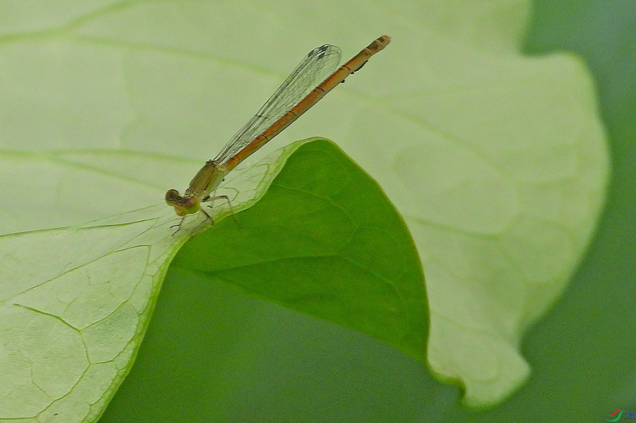 DSCN3558.JPG