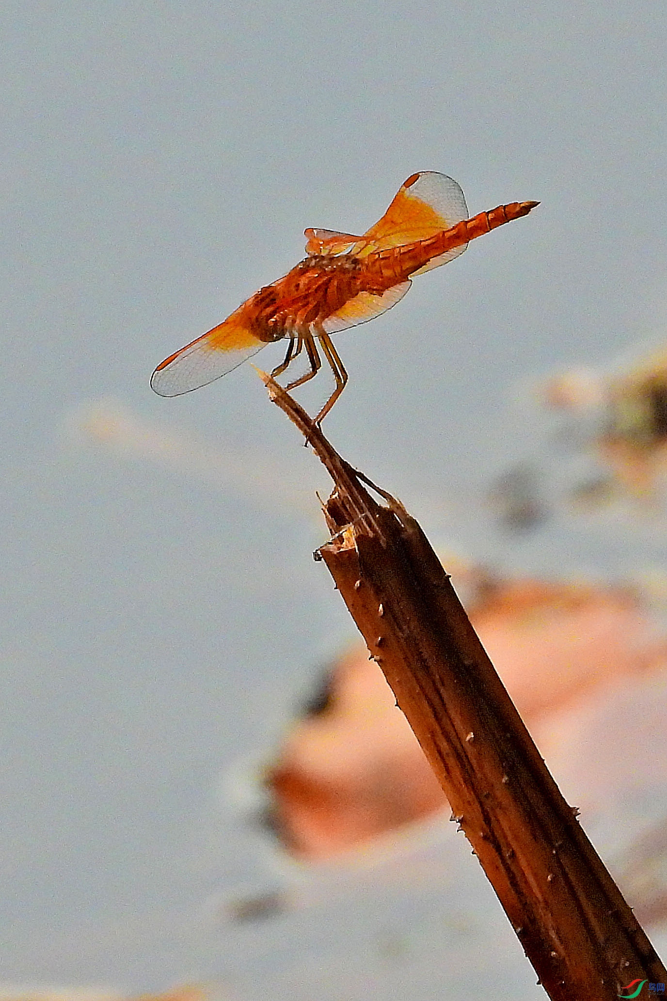 DSCN3574.JPG