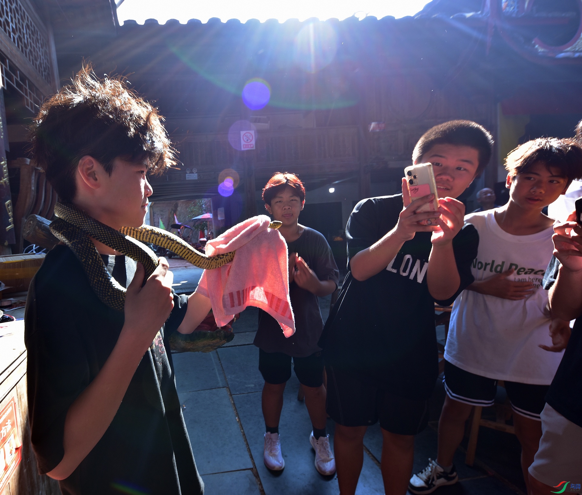 D8I_4480.jpg