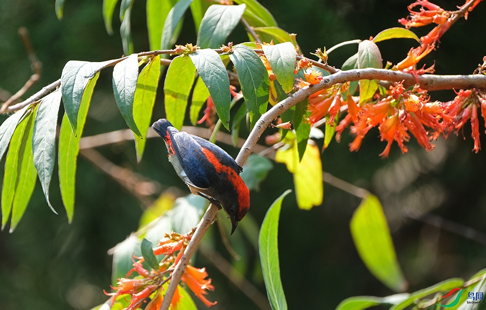 DSCF4814.1.JPG