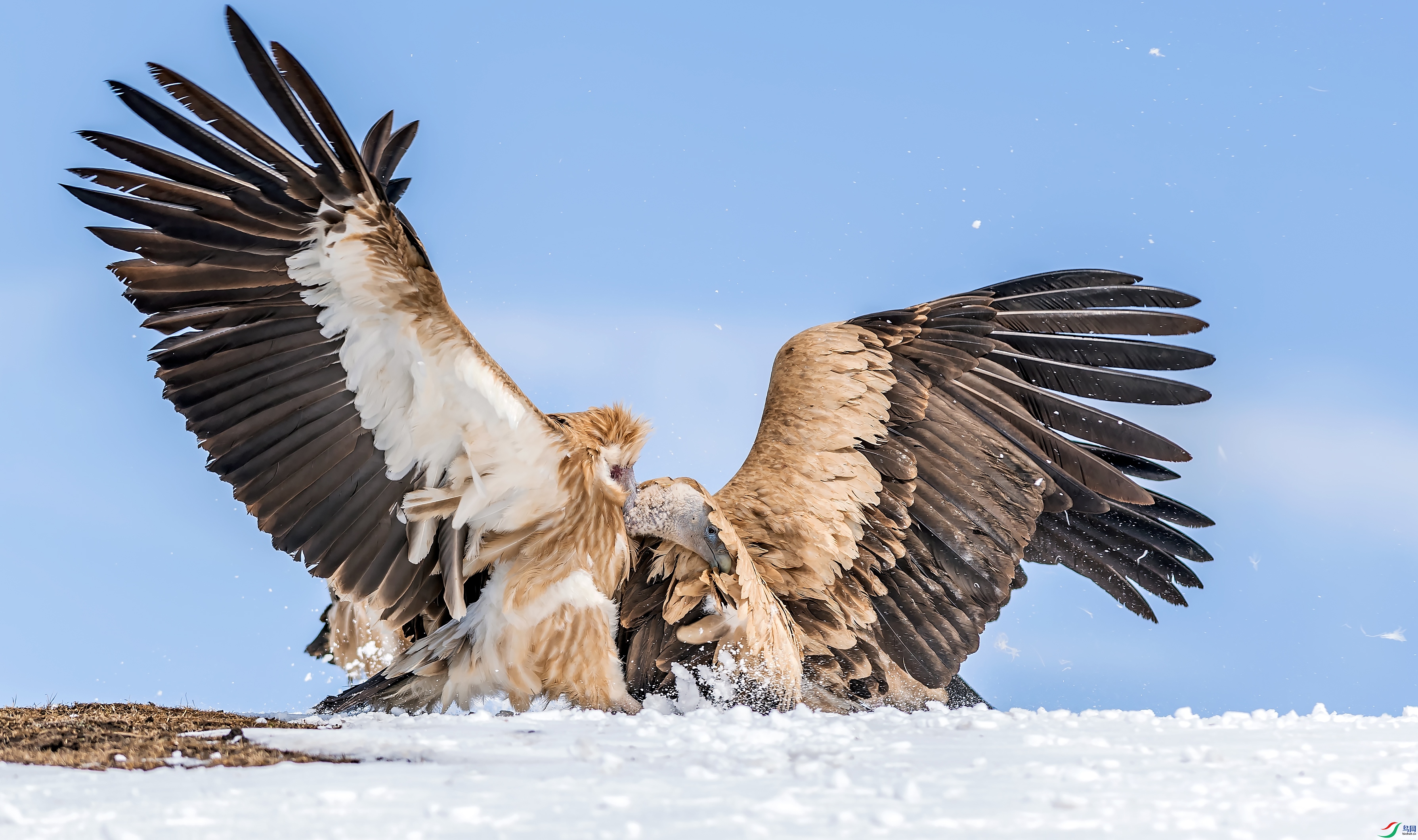 _DSC1042_��ͼ��.jpg--n2.jpg