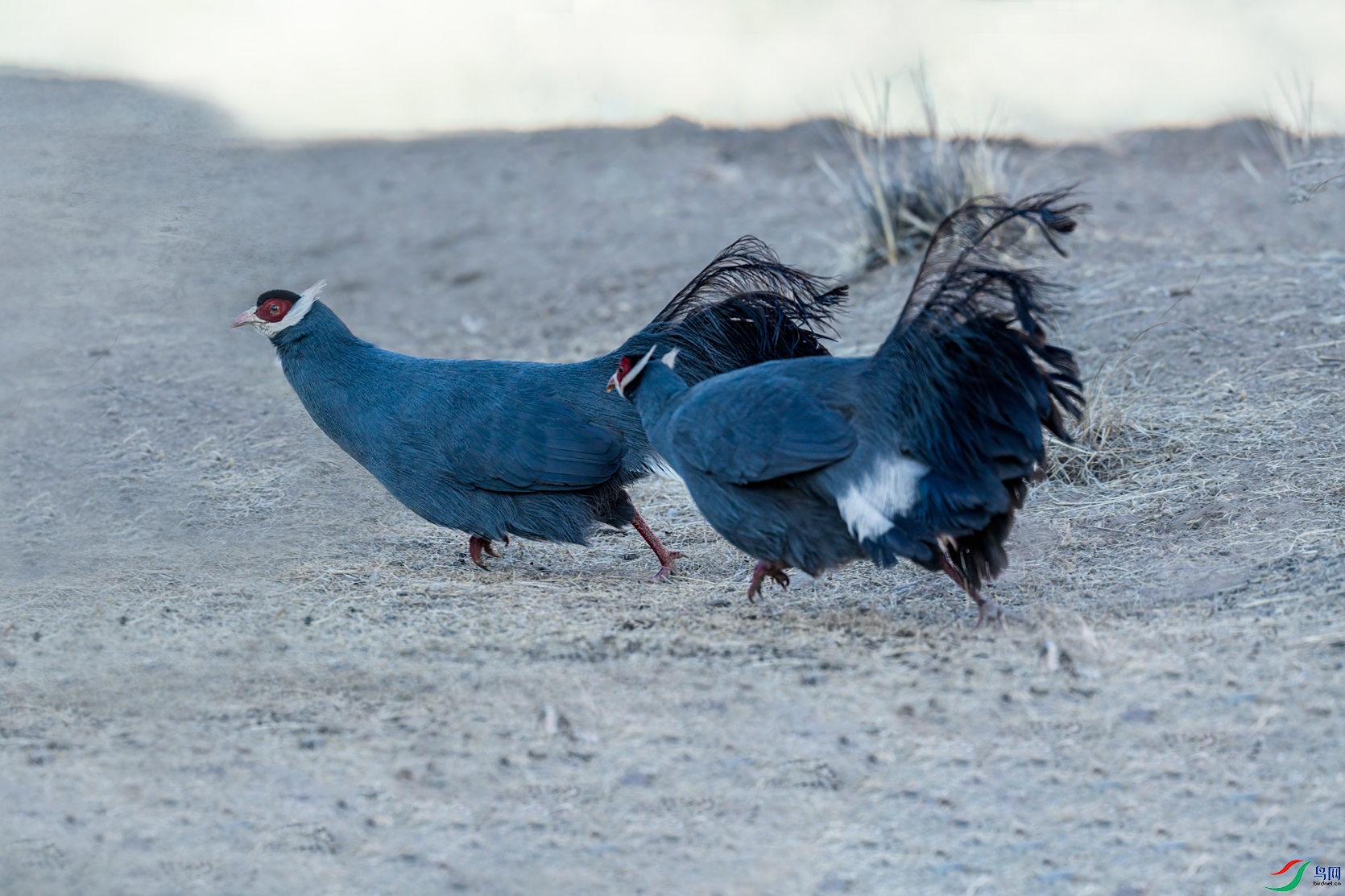 DSC_4259.jpg