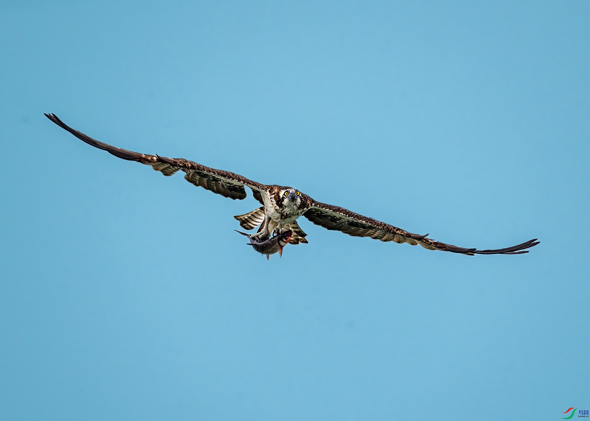 DSC_2020.jpg