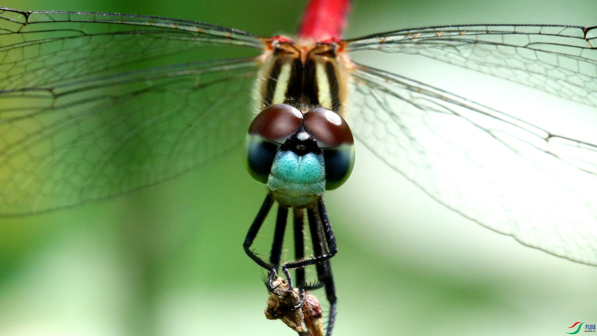 9O2A3398_����.jpg