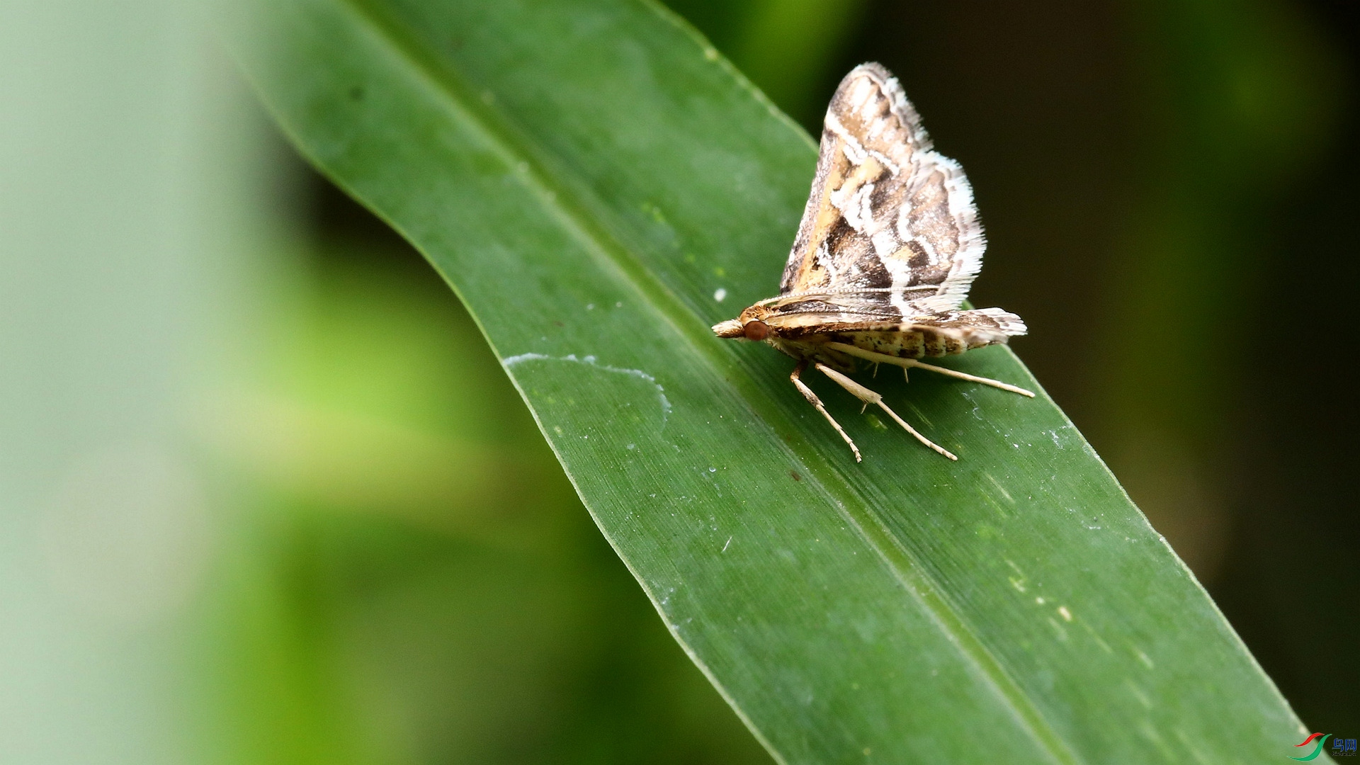 9O2A3353_����.jpg