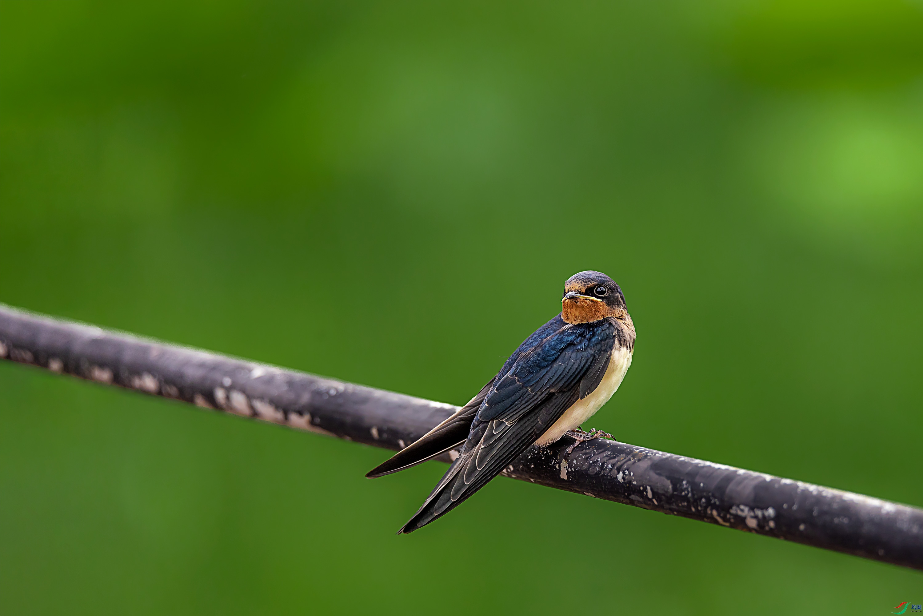 278A4635.jpg