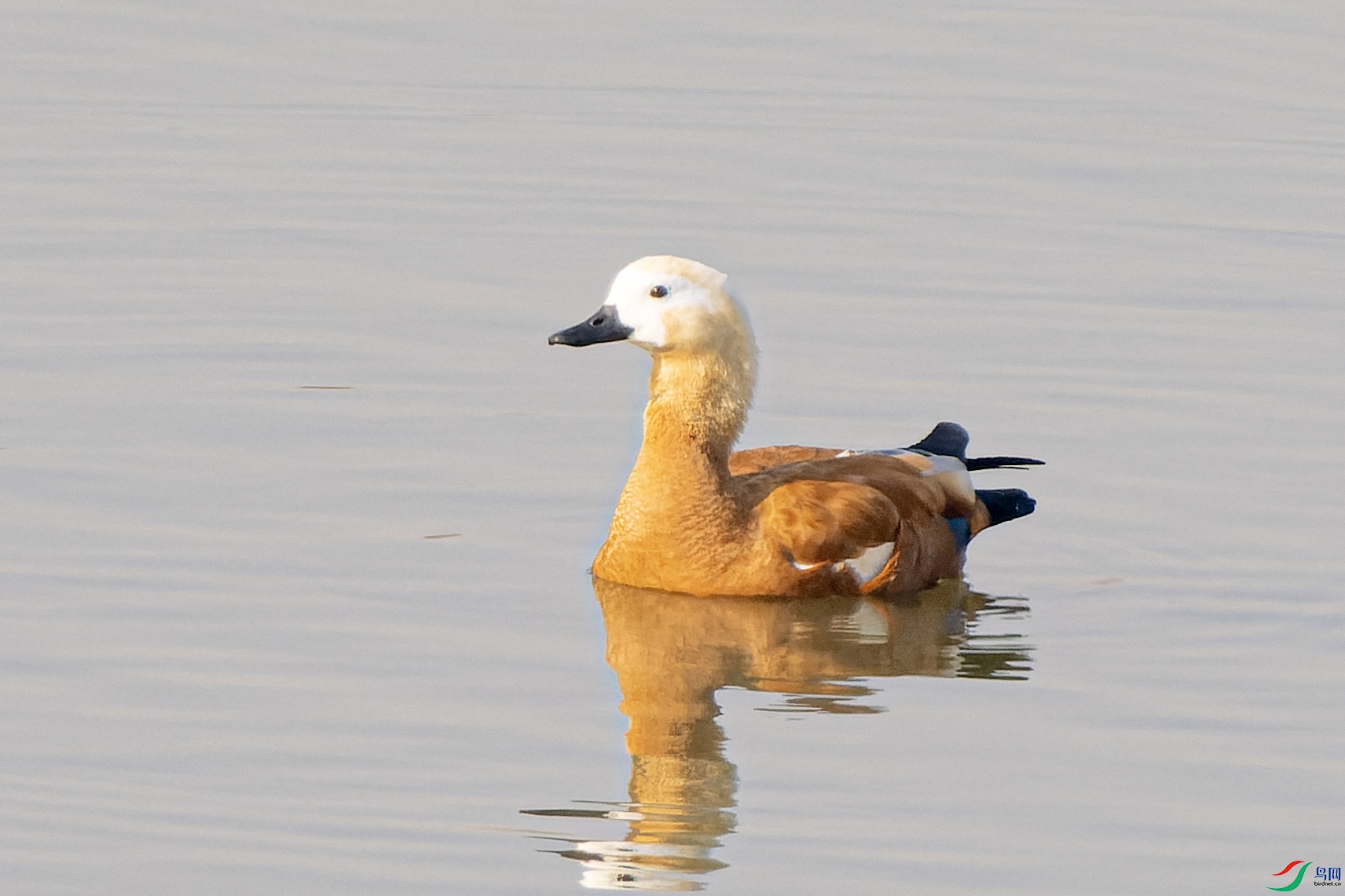 ����Ѽ3 ����.jpg