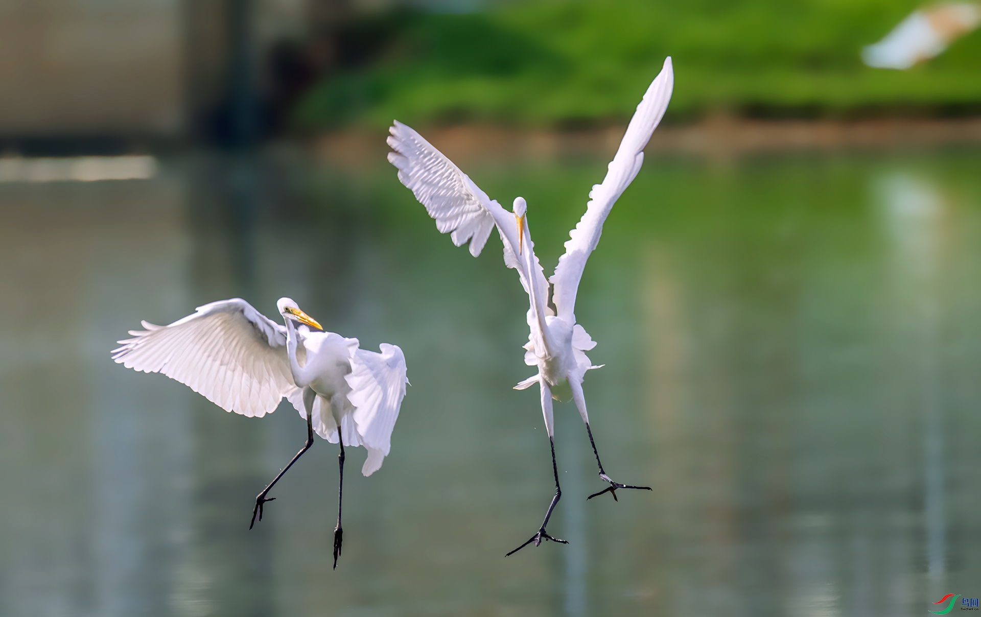 407A1206 ����-Sha---1 .jpg